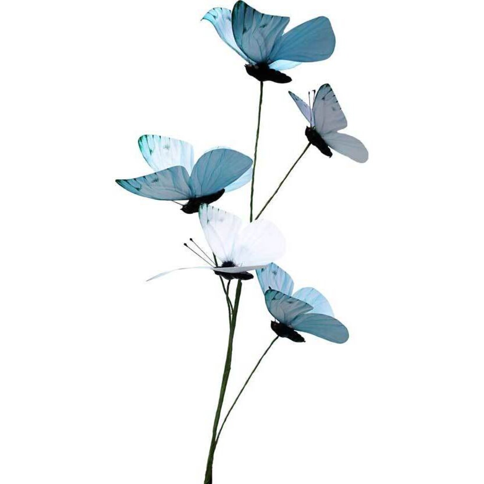 Butterfly Stem Blue Soft