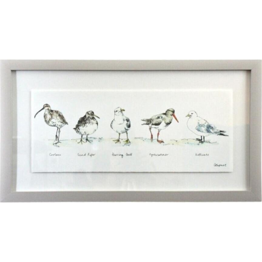 Framed Seabirds