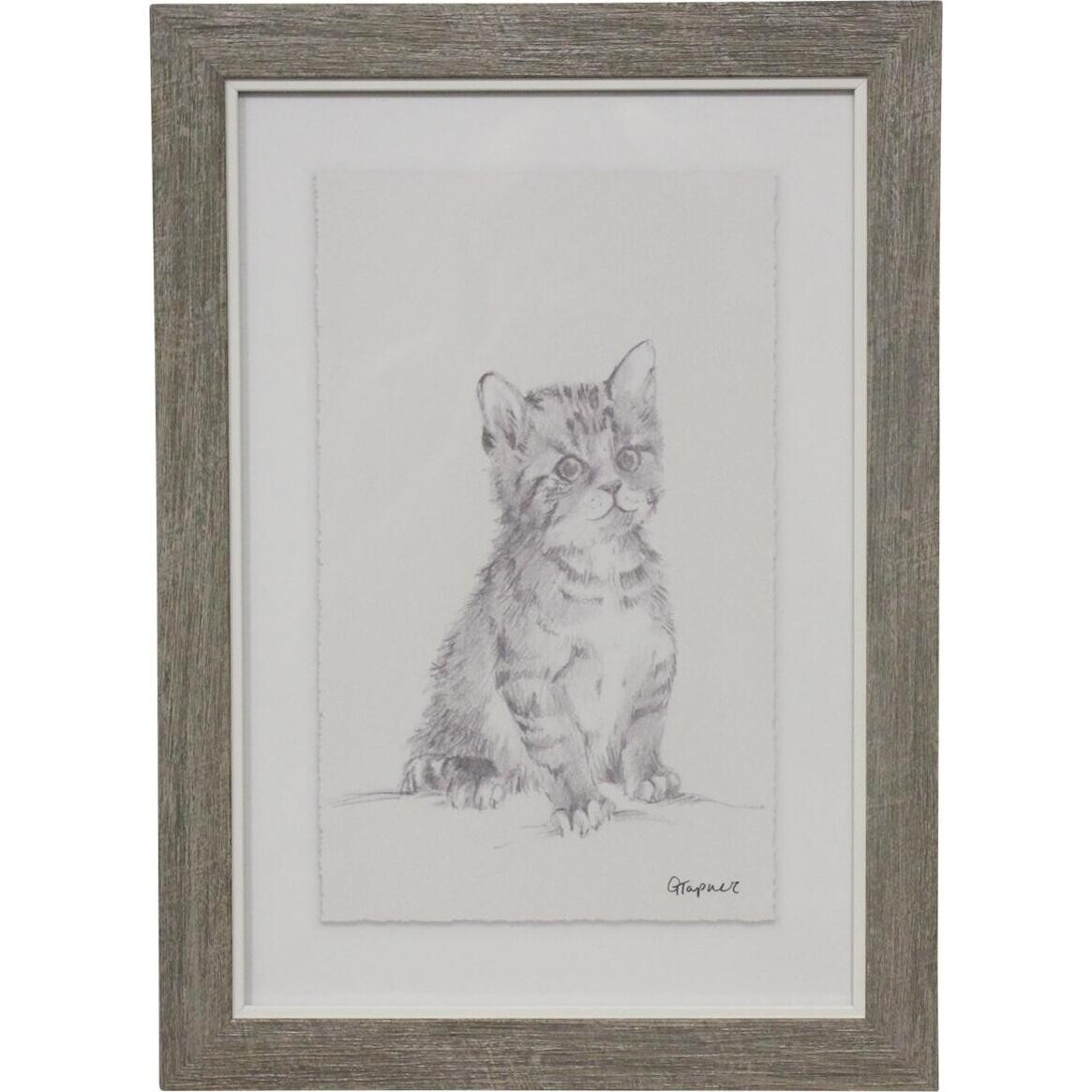 Framed Print Kitten 1