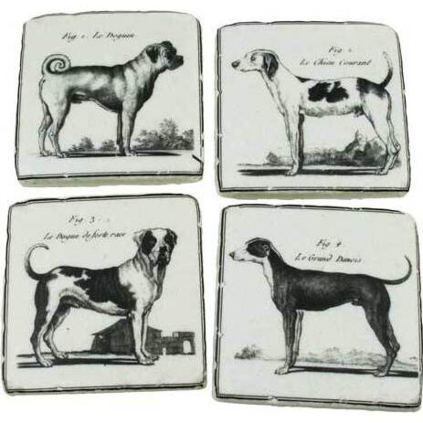Coasters Formal Dogs