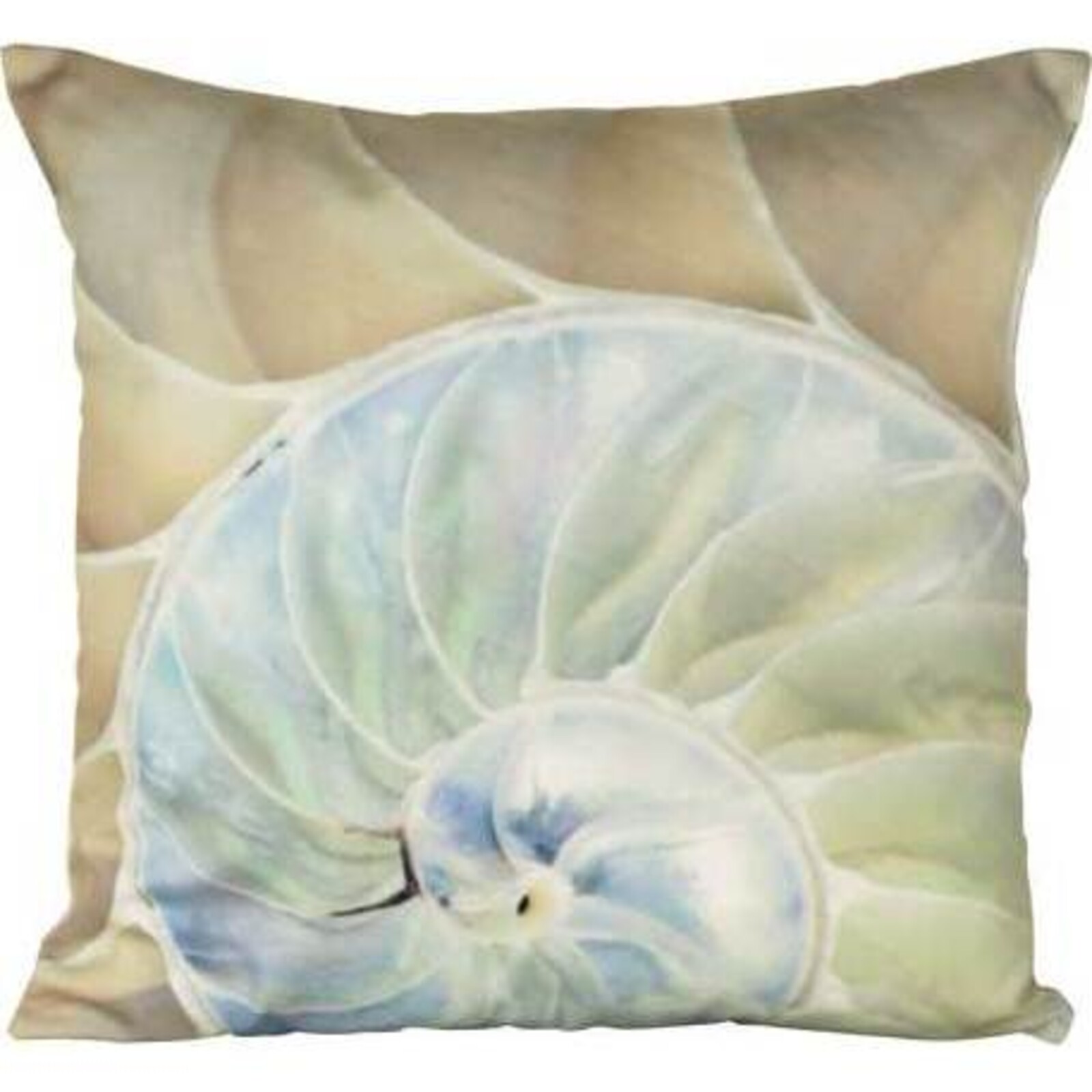 Cushion Shell Spiral