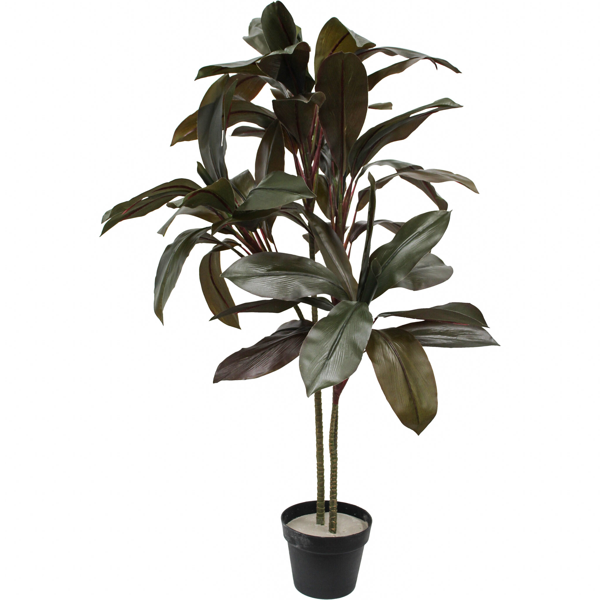 Faux Cordyline