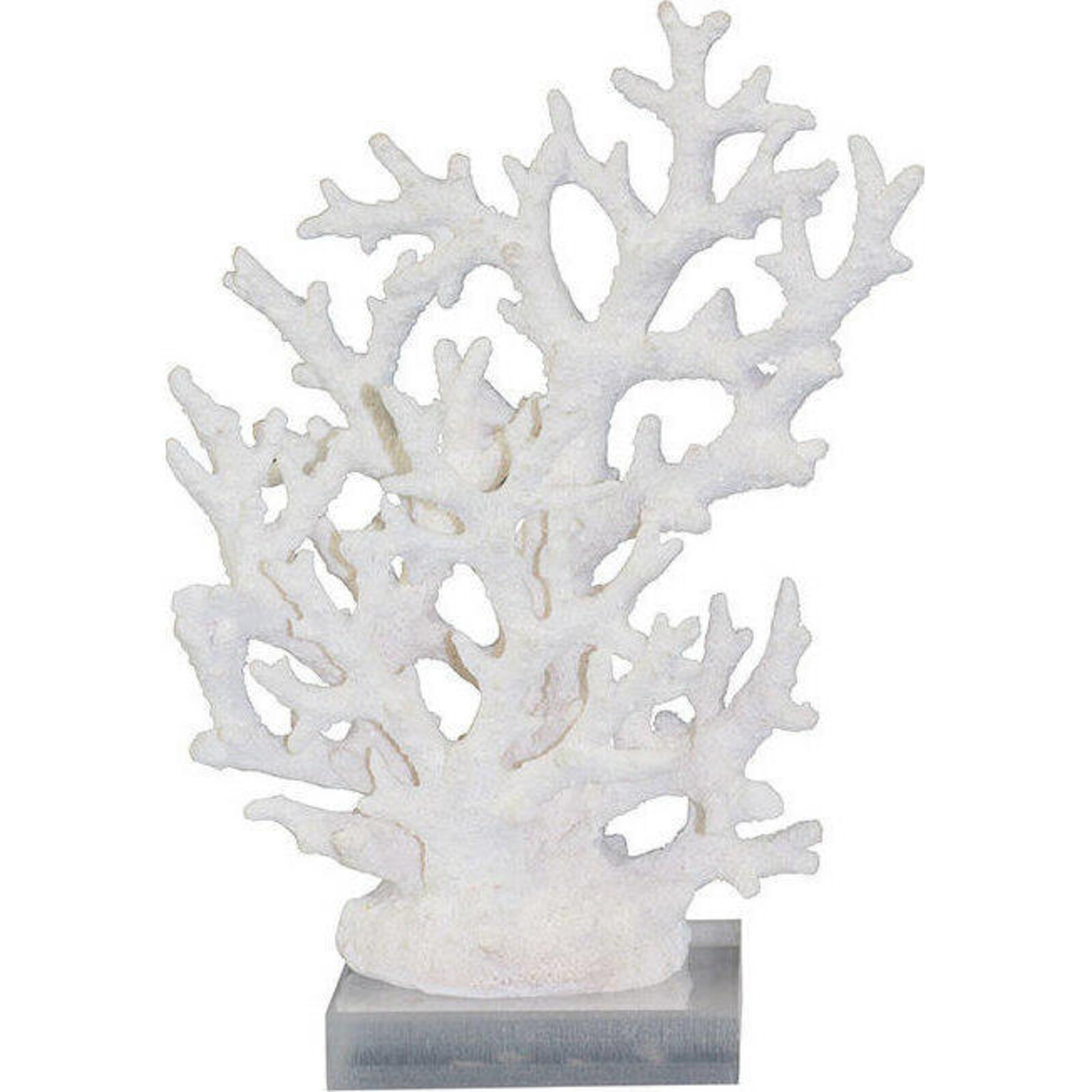 Coral Staghorn White Sml
