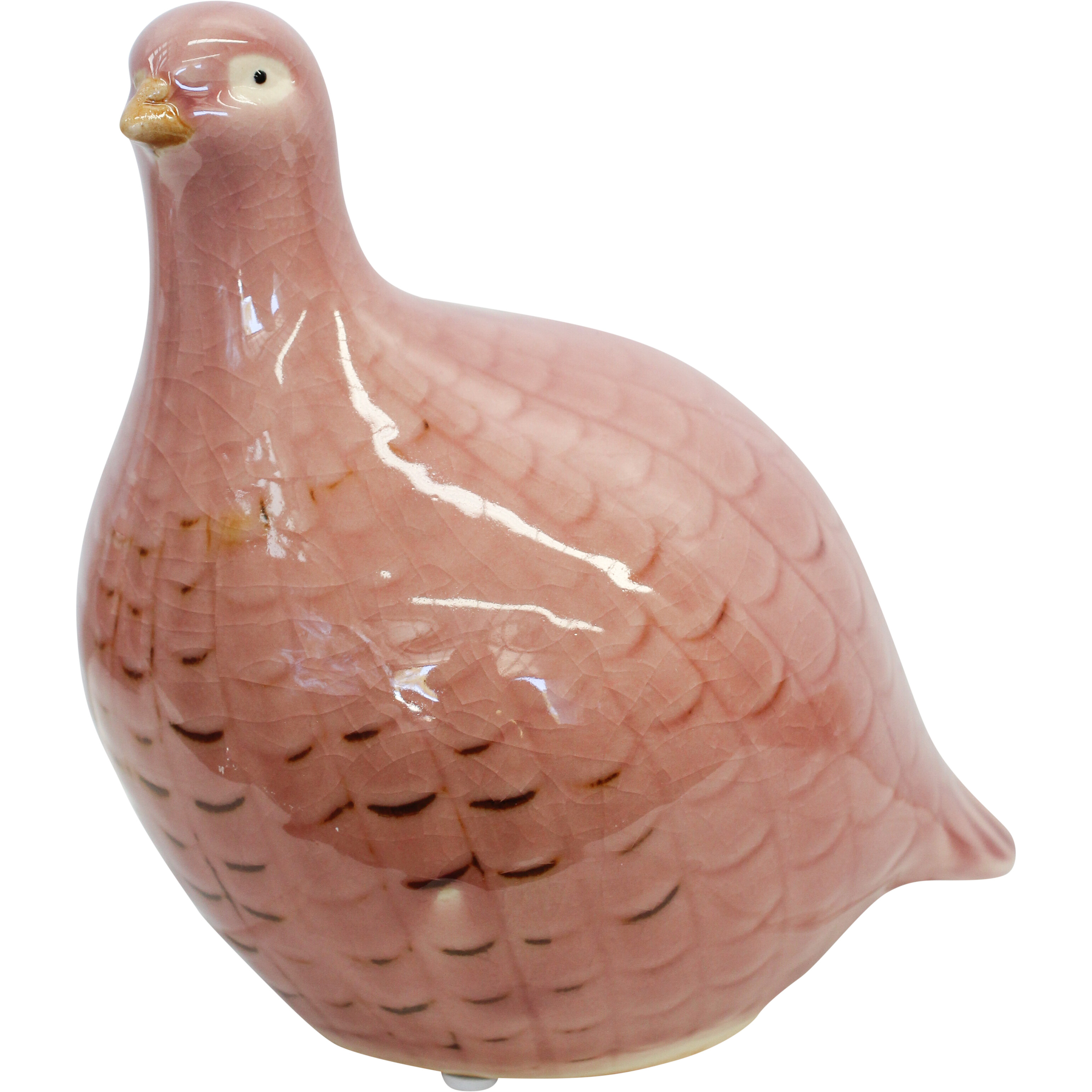 Guinea Fowl Peach B