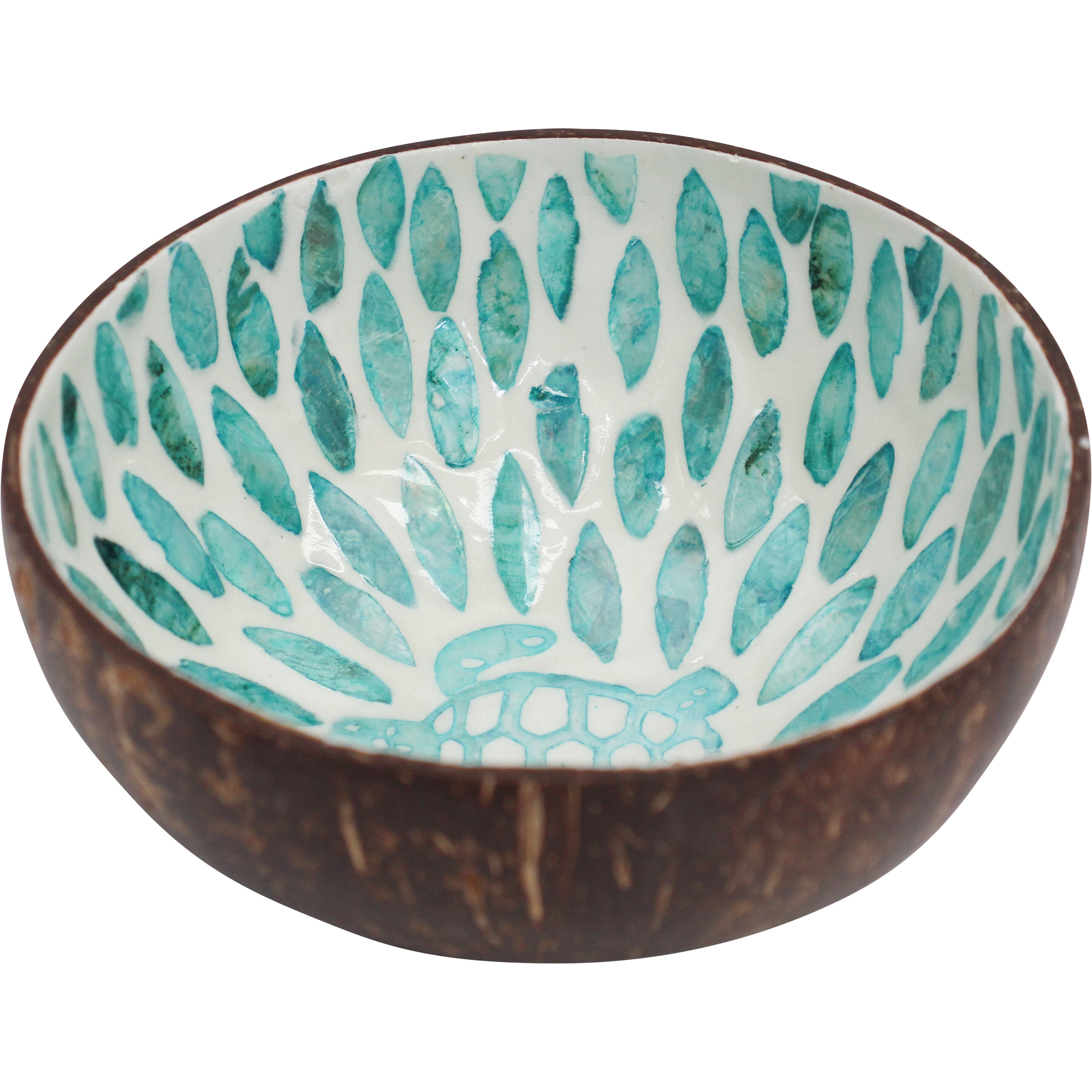 Coconut Bowl Ocean/Turtle