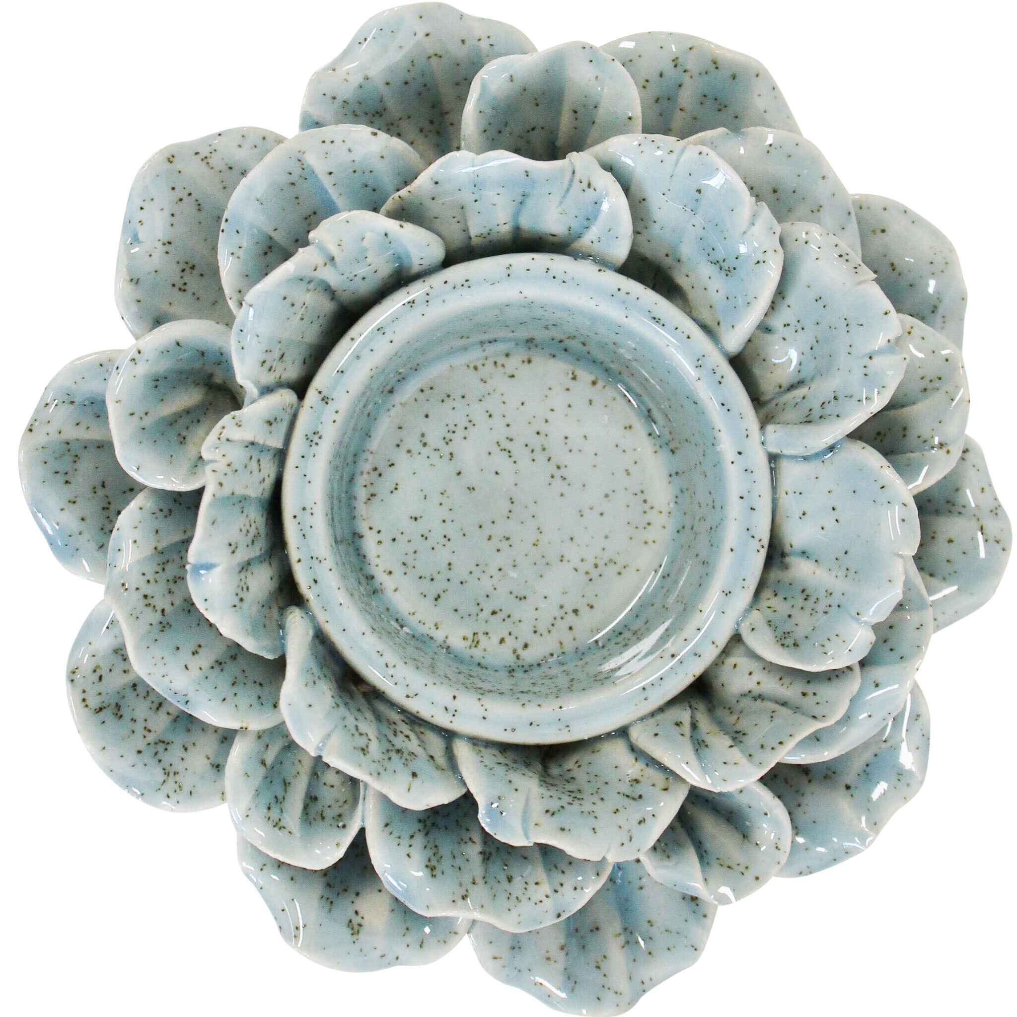 Echeveria Tealight Foam