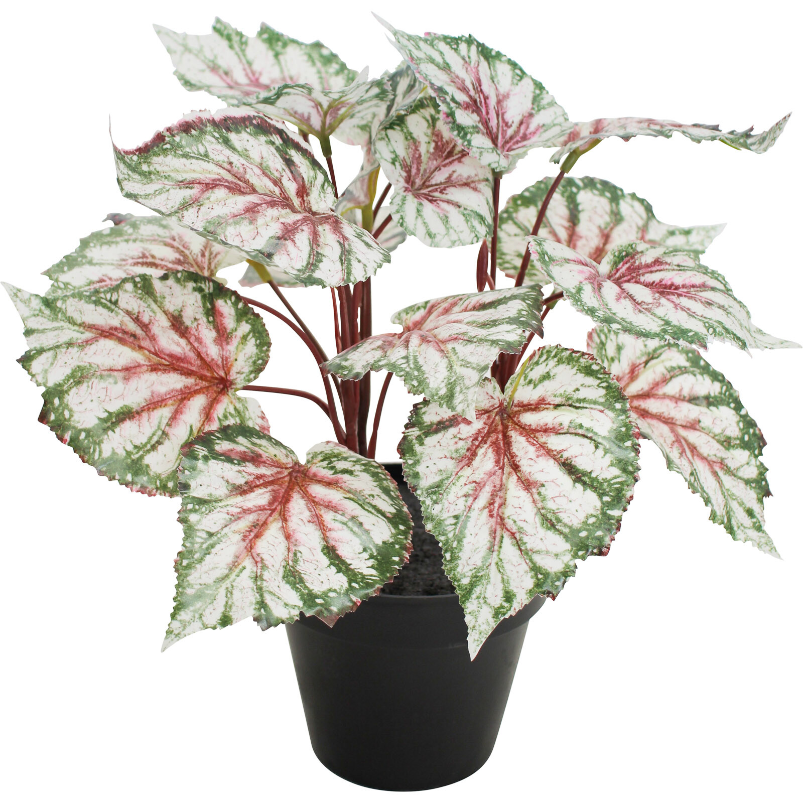 Faux Begonia Green