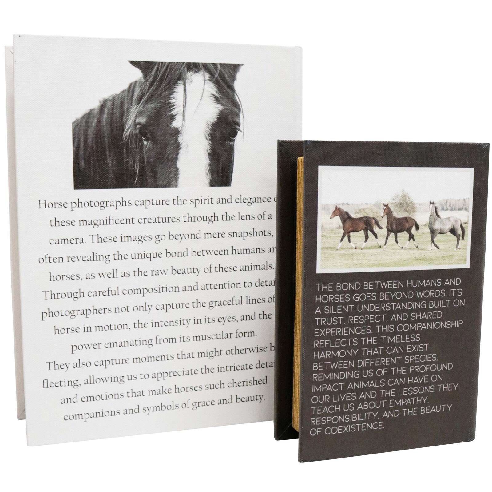 Book Box S/2 Horses