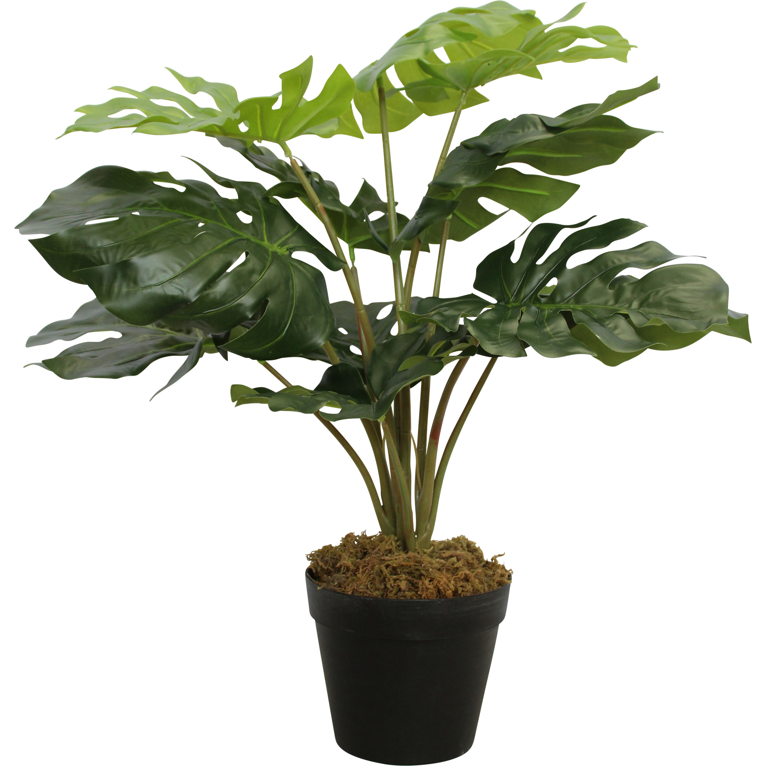 Replica Plant Monstera