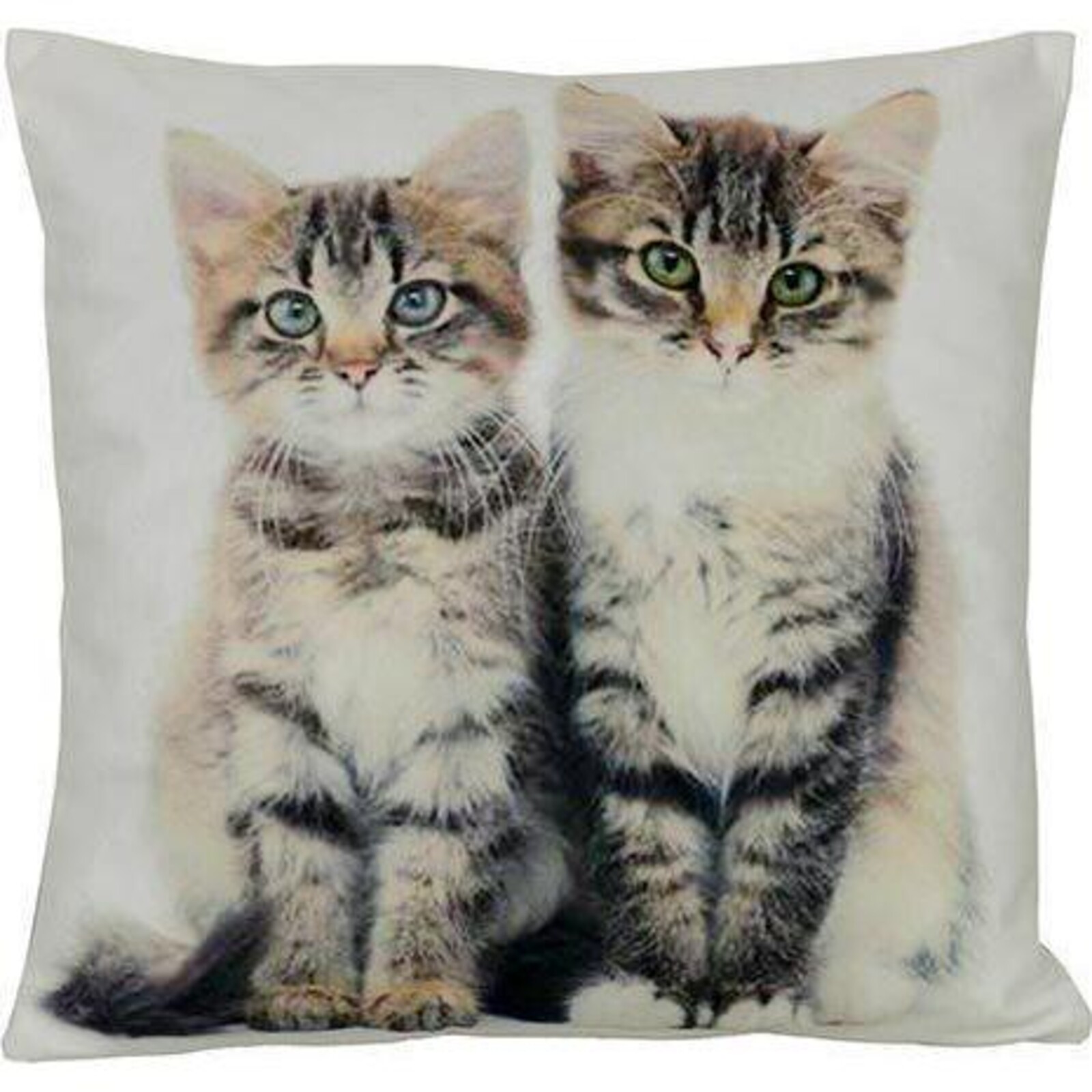 Cushion Cute Kittens