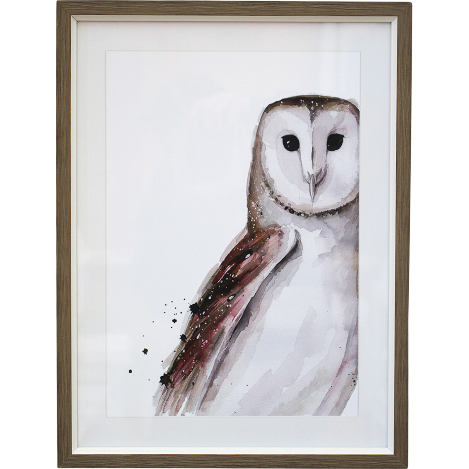 Framed Print Wise Owl