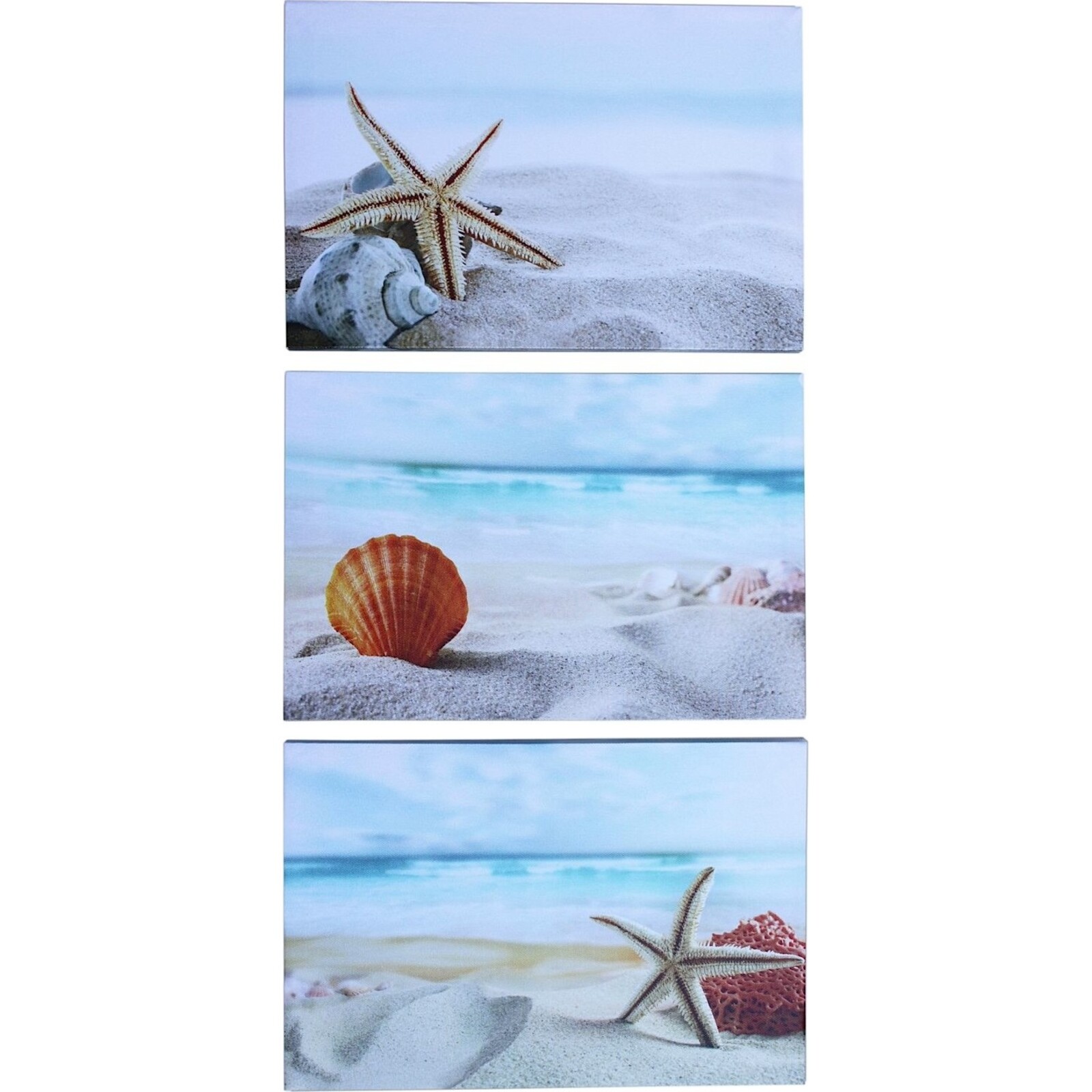 Canvas Print - Beach Shells - Set 3