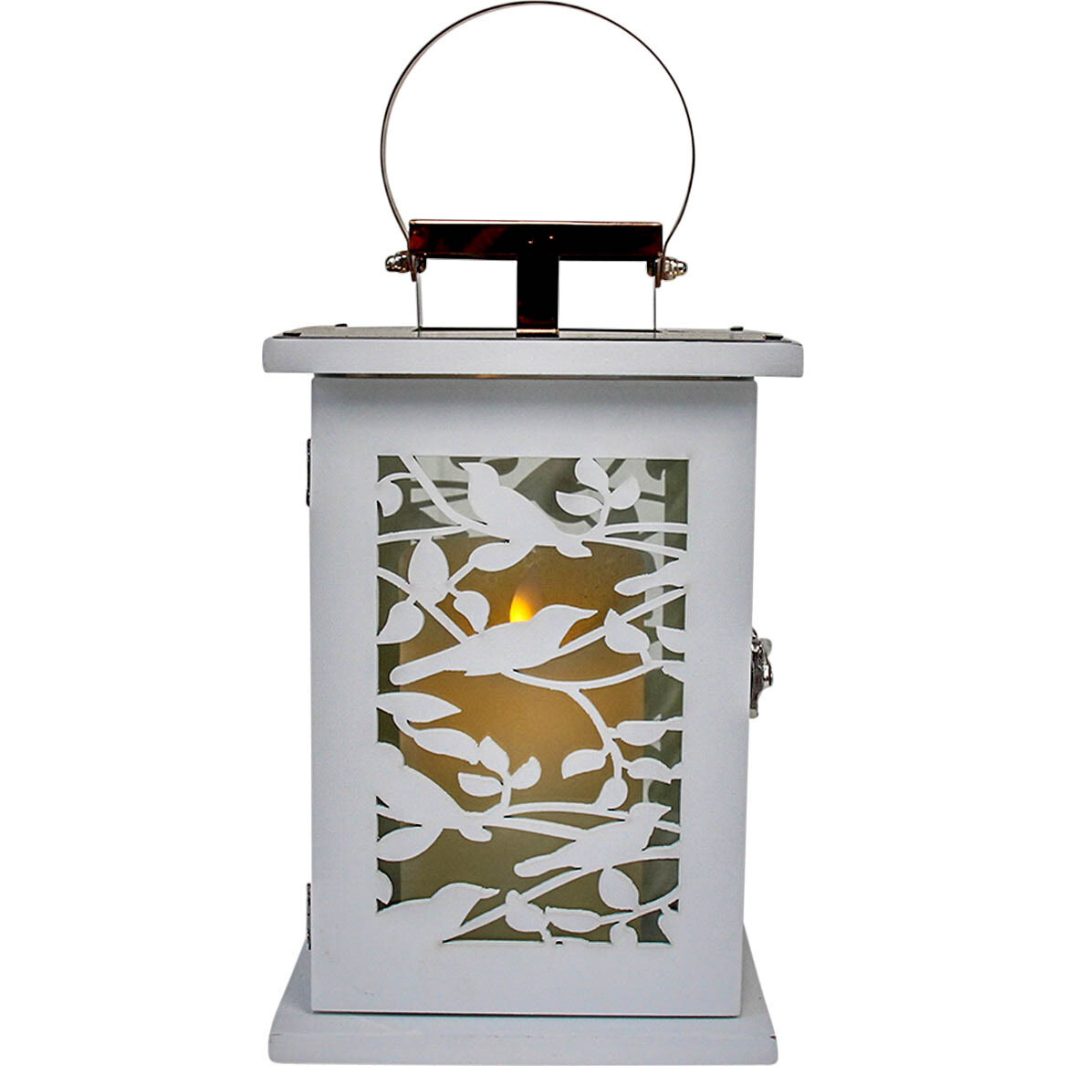 Lantern Birds White