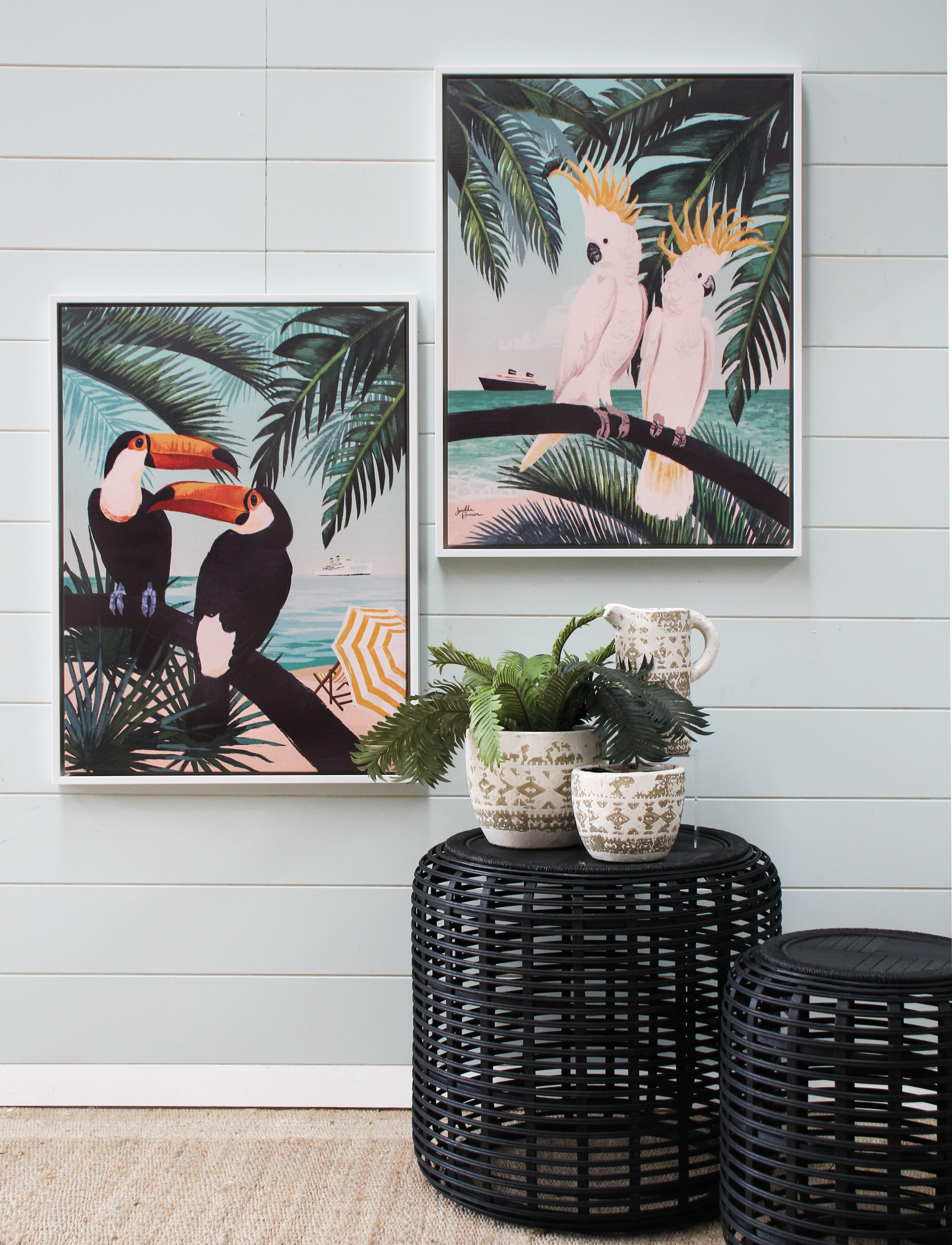 Framed Canvas Toucans