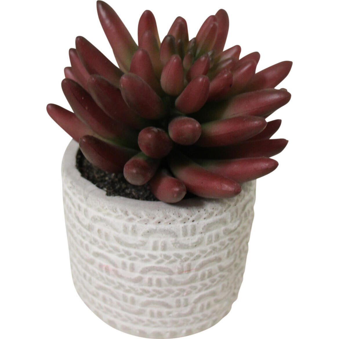 Fake Succulent Textured 2