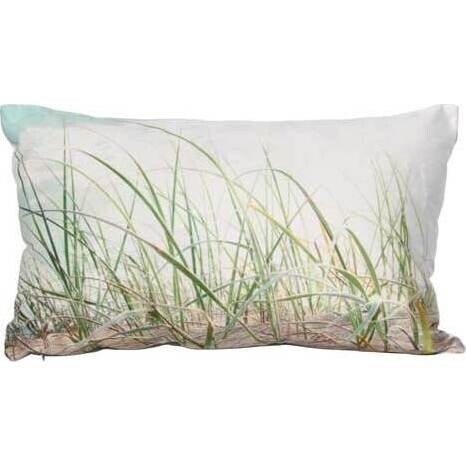 Cushion Beach Grass