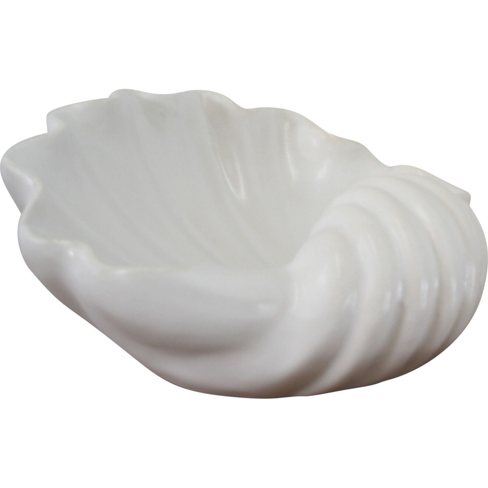 Clam Shell Ceramic