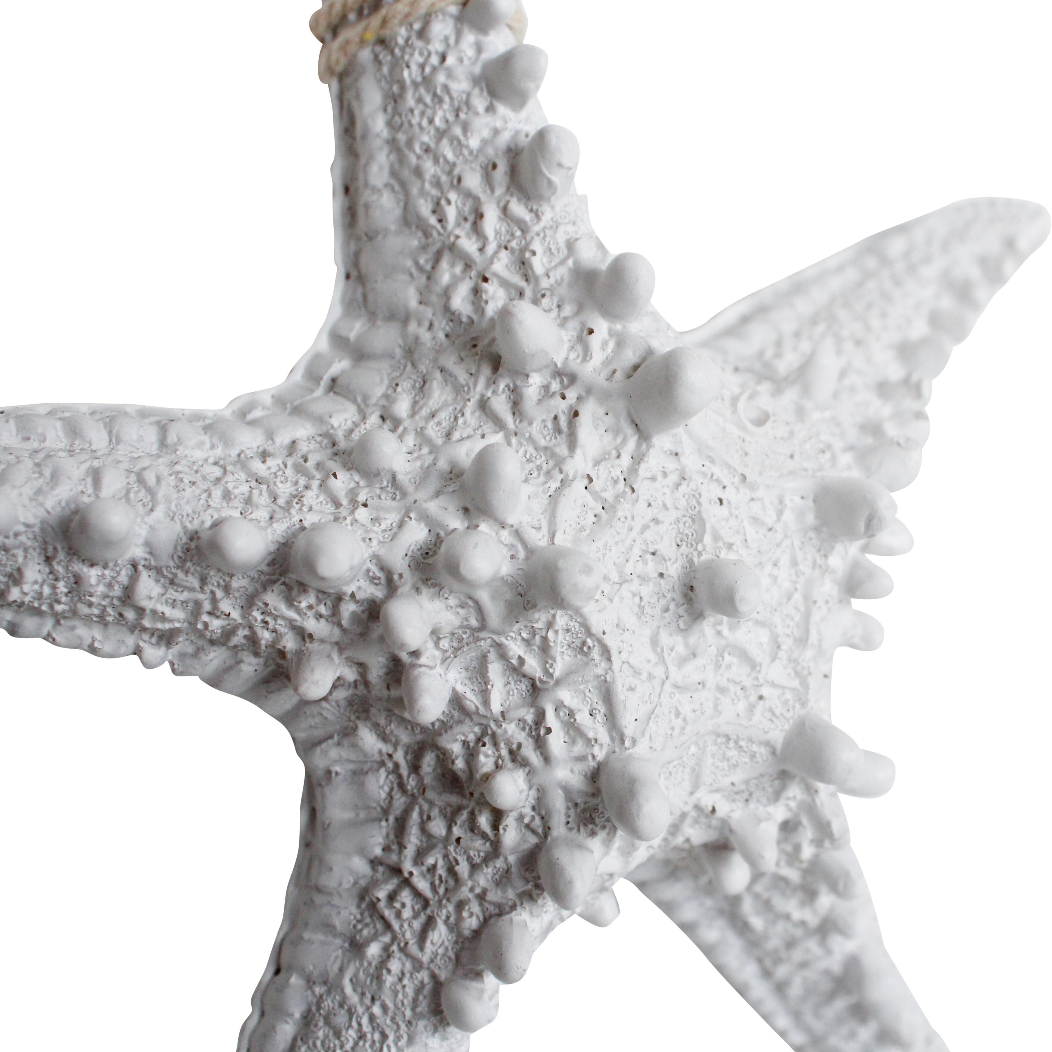 Starfish Rustic Med