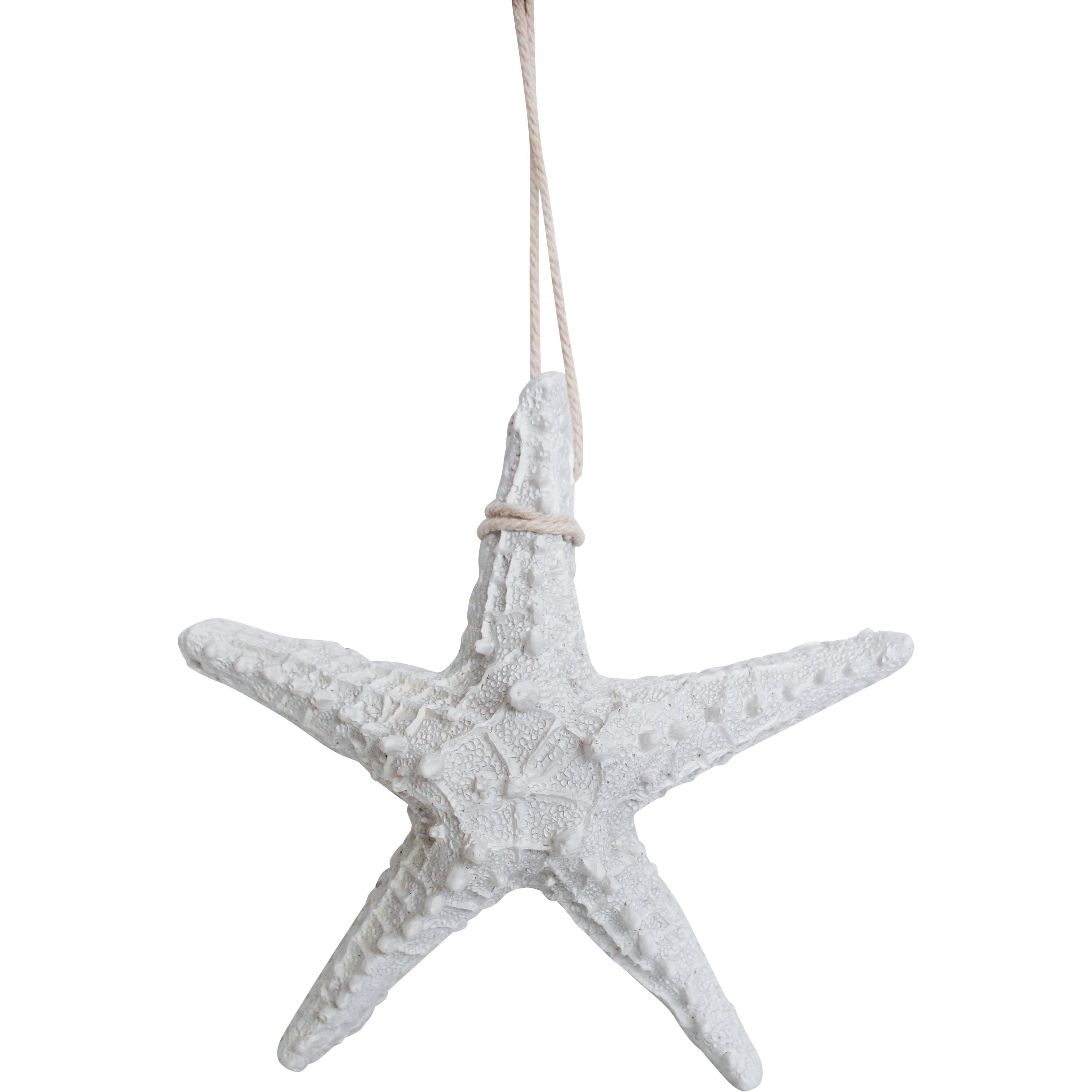 Starfish Rustic Sml