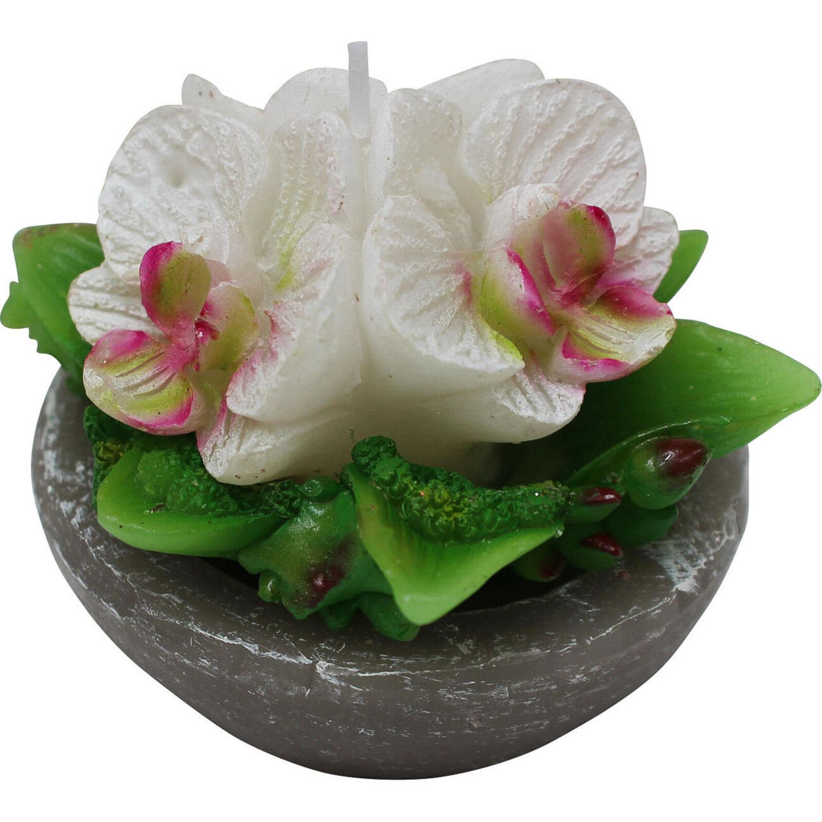 Candle Orchid Pot Dish 