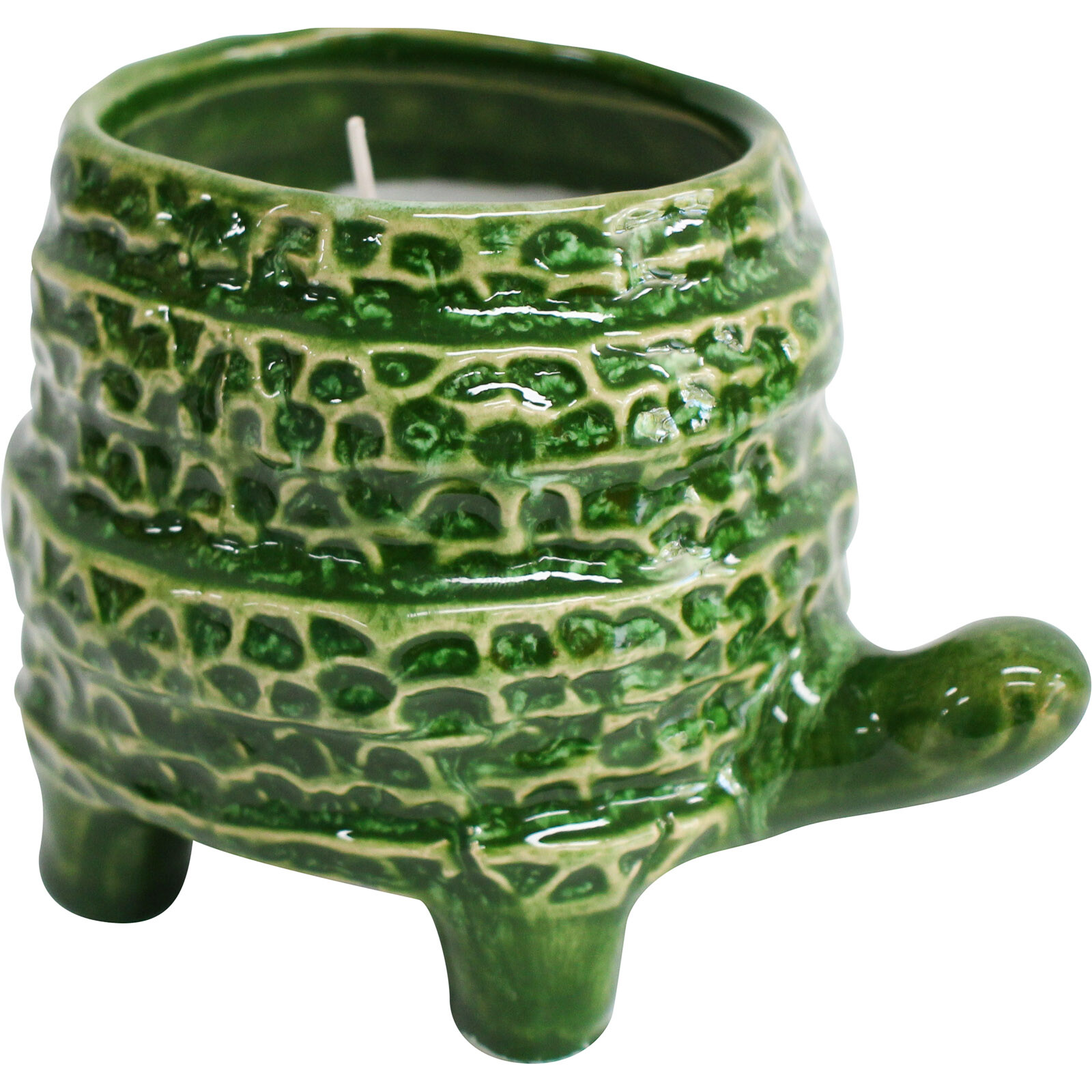 Candle Turtle Barnacle Juniper