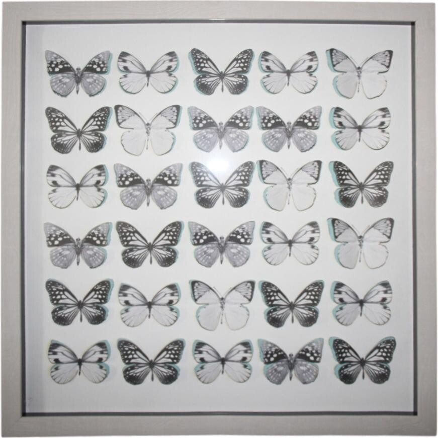 Framed Butterfly Cutout