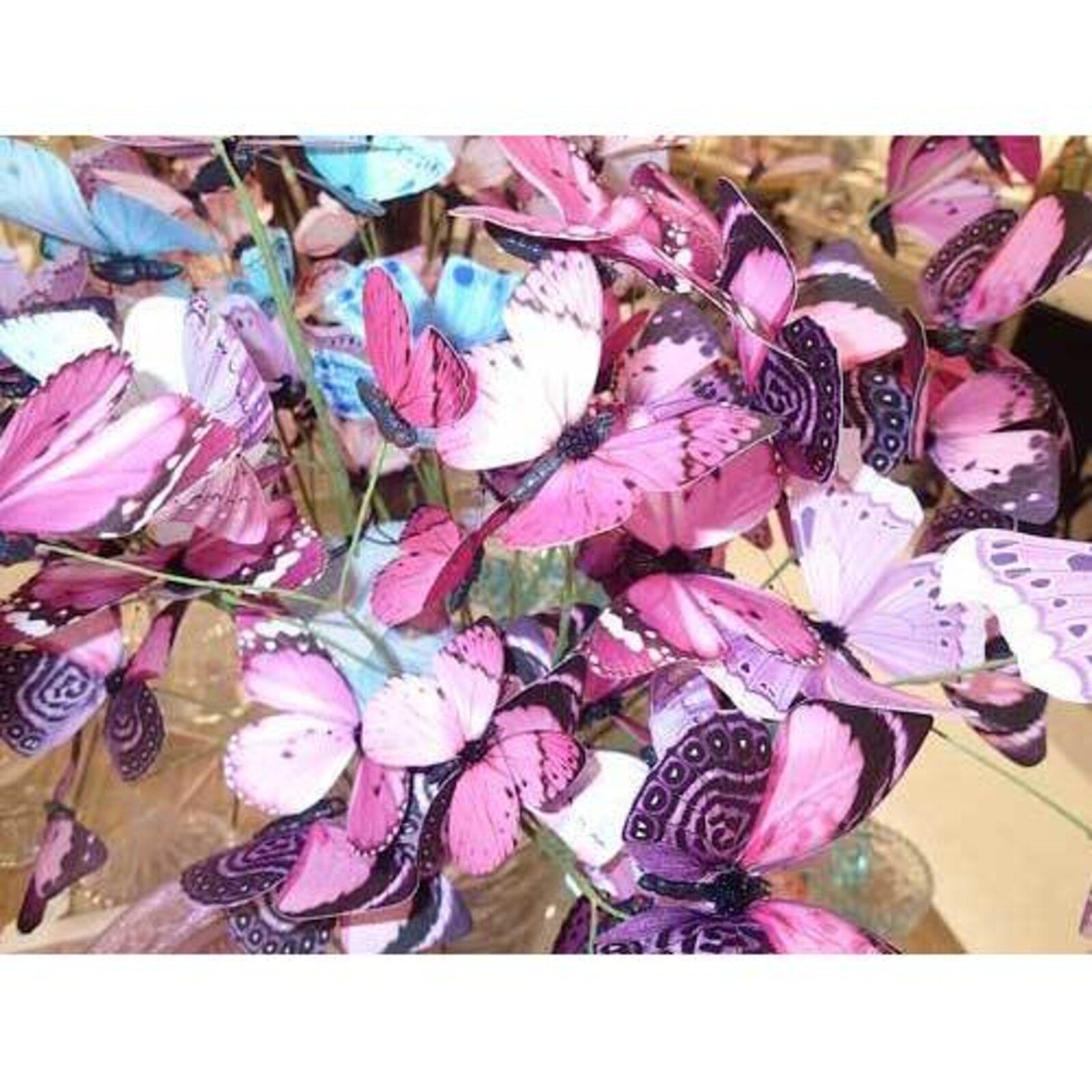 Butterfly Stem Pink Bright