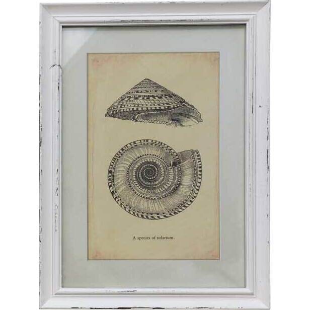 Framed Print Solarium