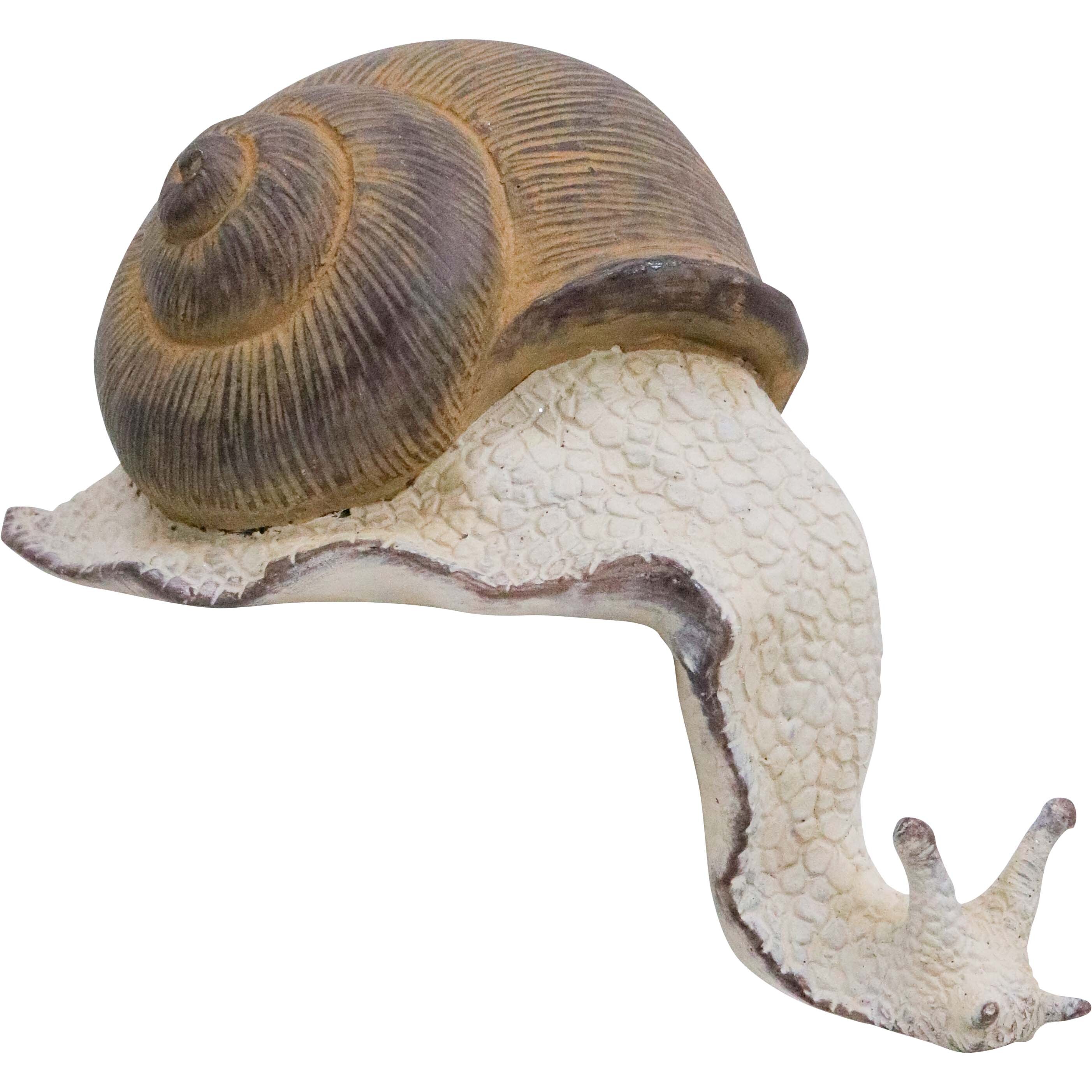 Ledge Snail Lrg