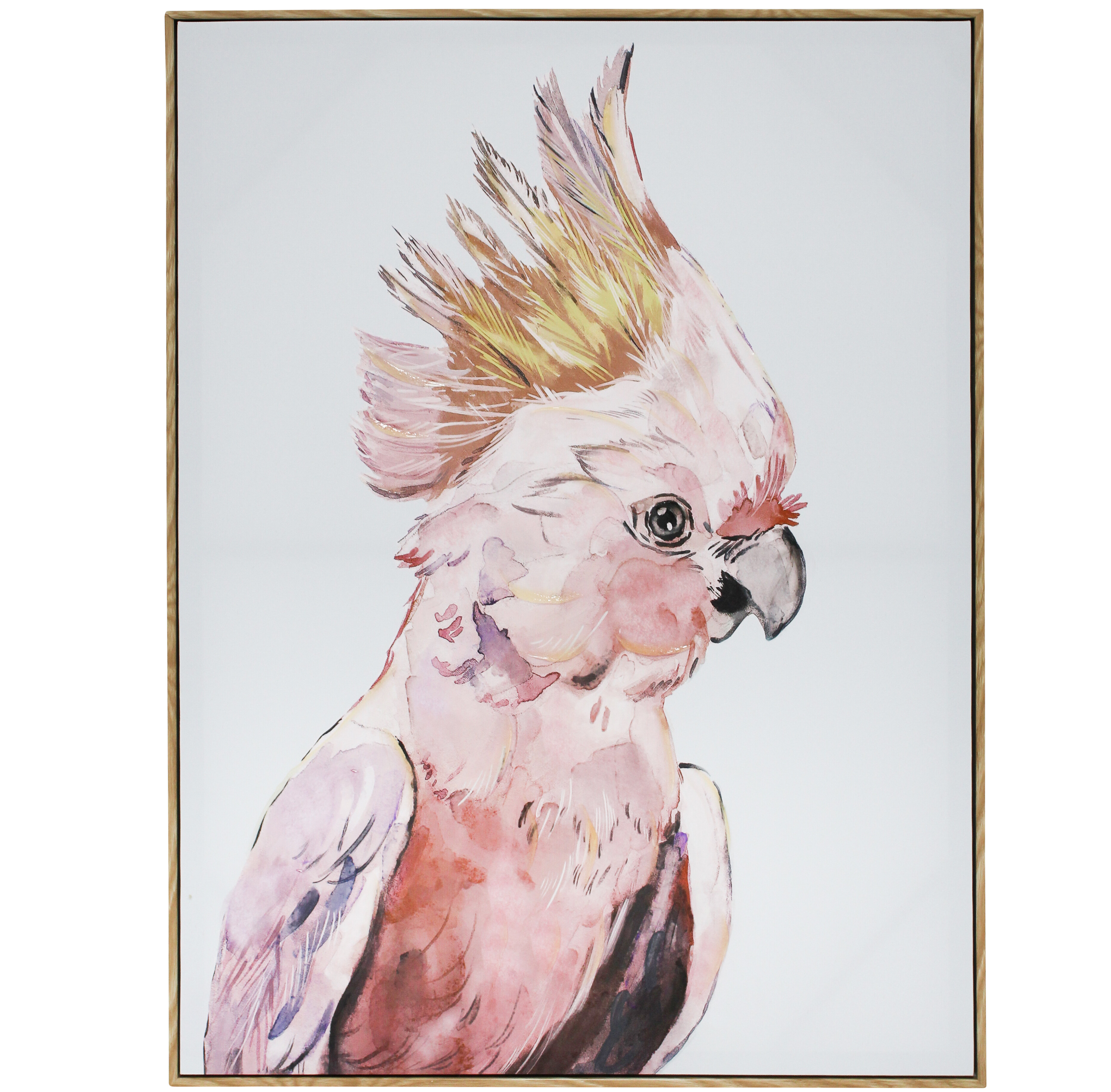 Framed Canvas Cockatoo