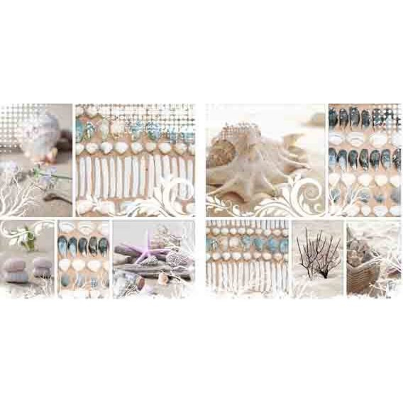 Canvas - Shell Rows - set 2