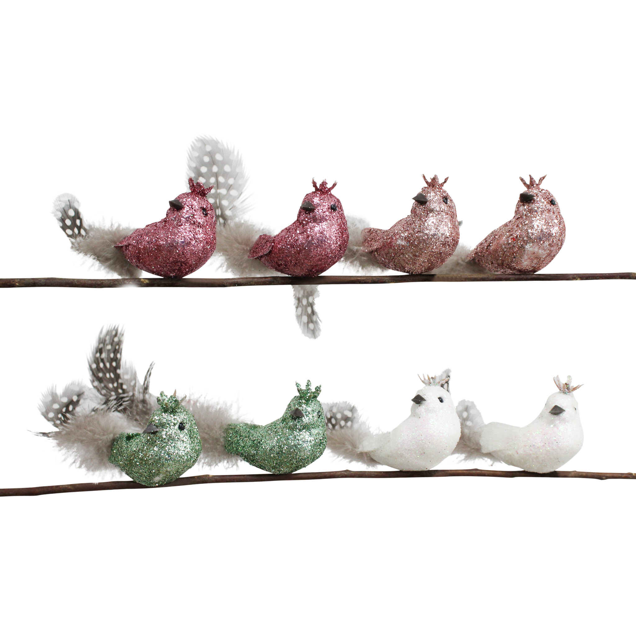 Clip Birds S/8 Seashell