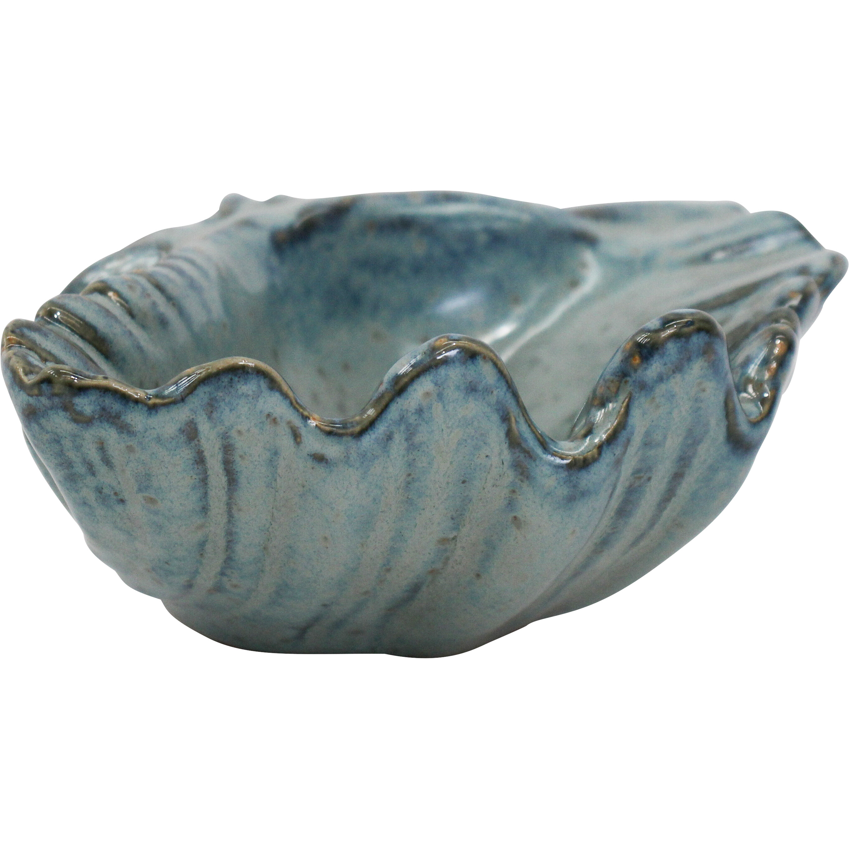 Shell Dish Ocean