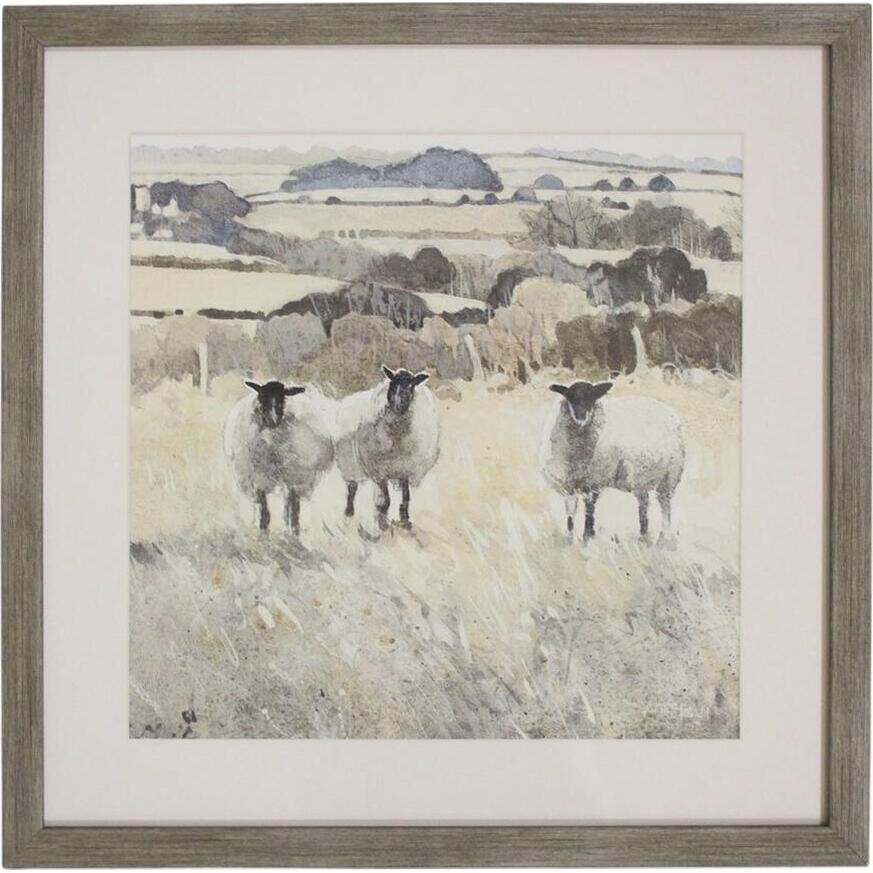 Framed Print Grazing Sheep