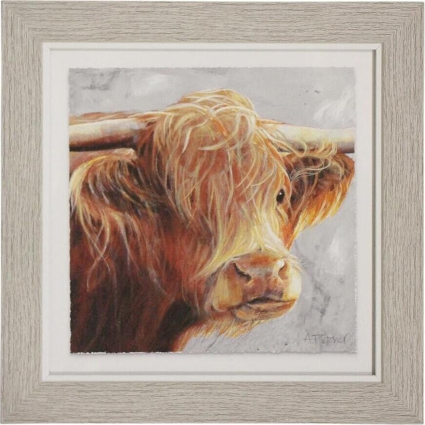 Framed Print Brown steer