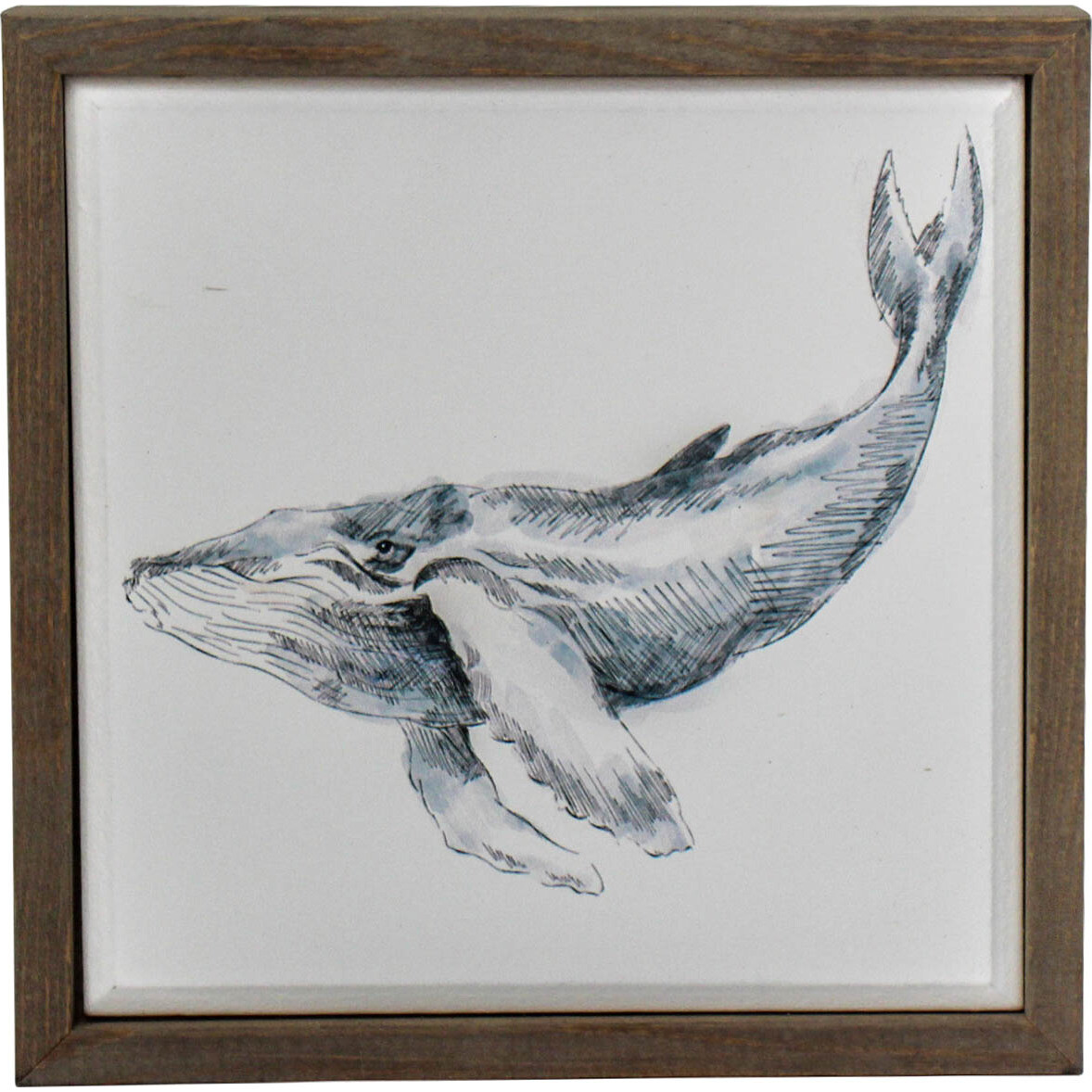 Framed Whale Sml