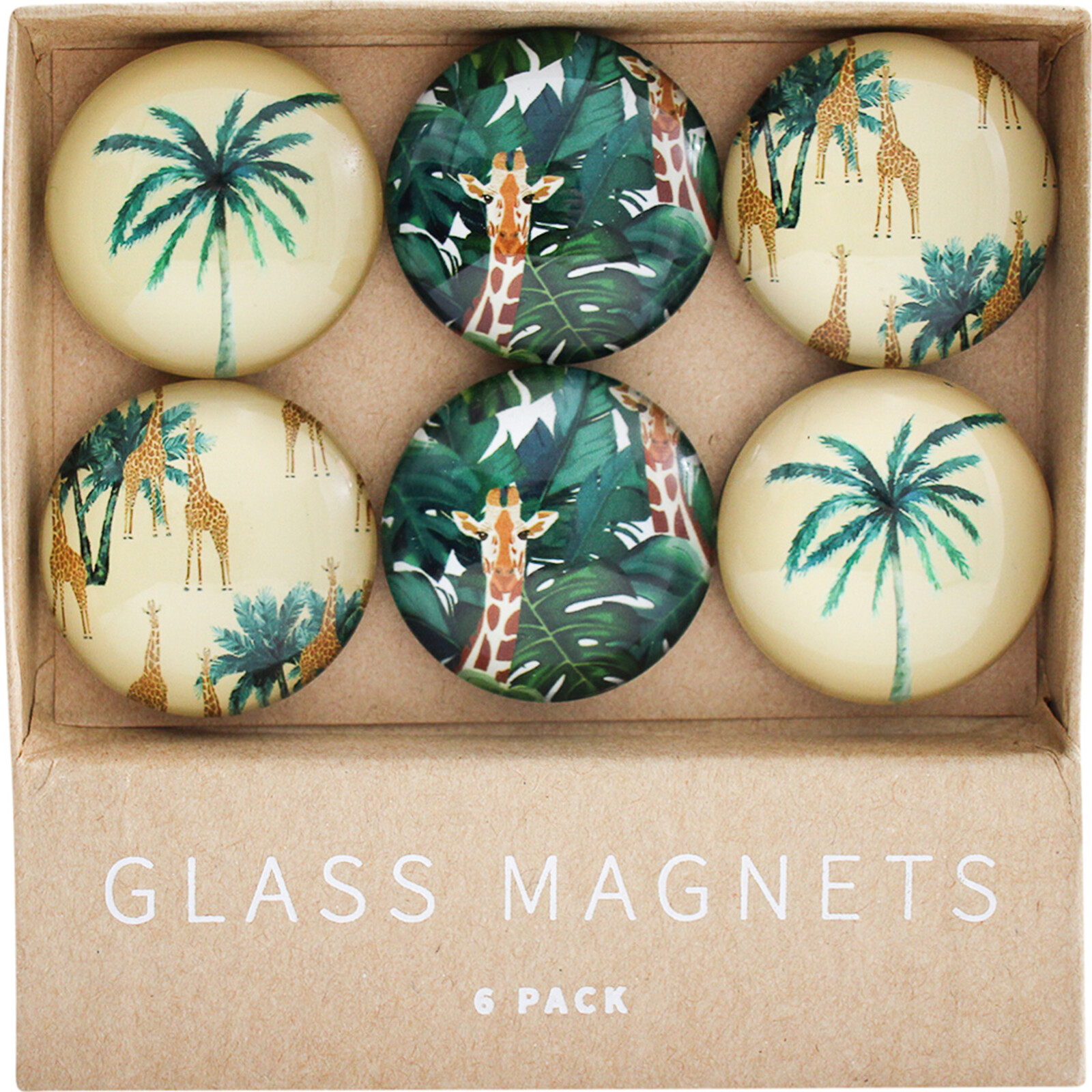 Glass Magnets SavannahS/6