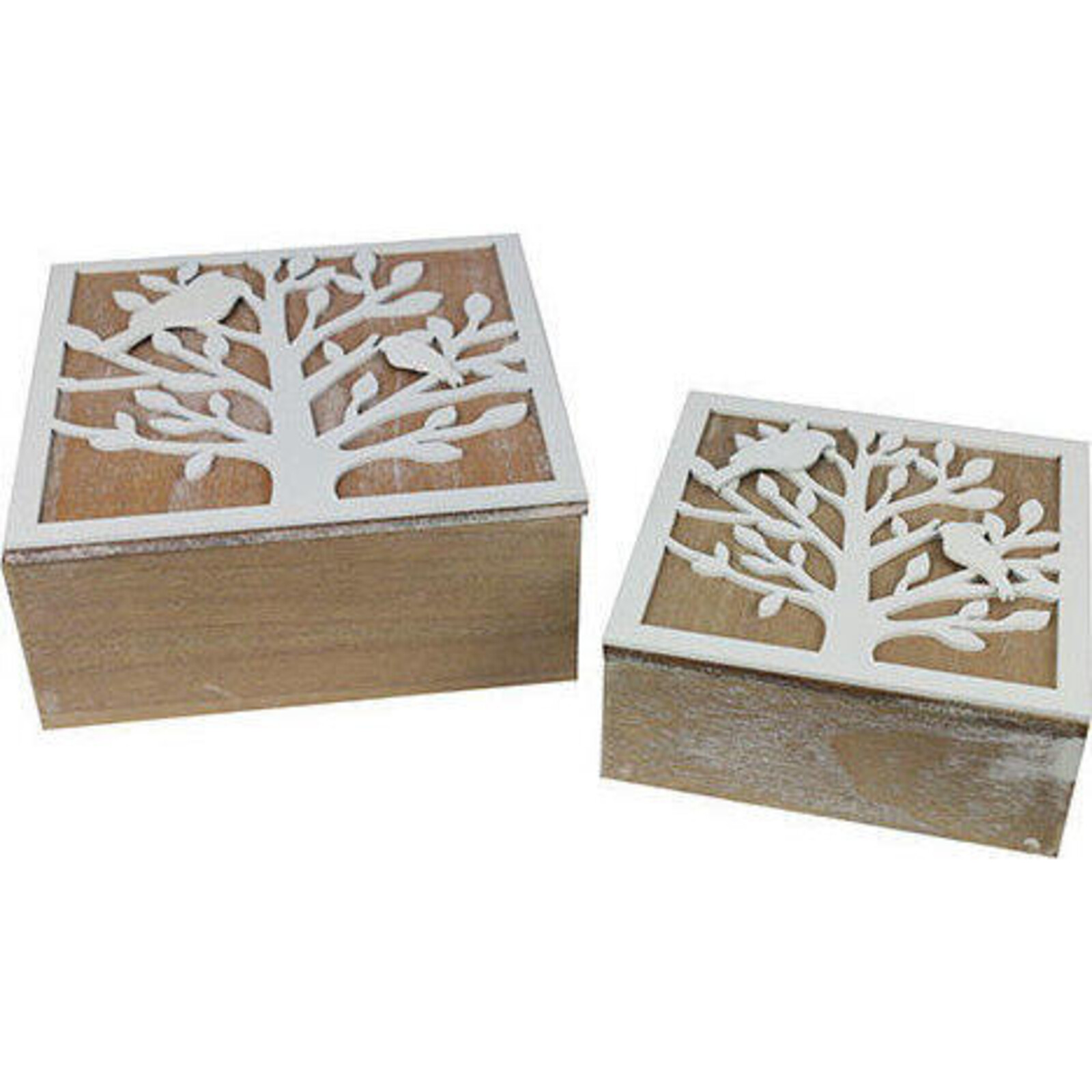 Boxes Treebirds S/s