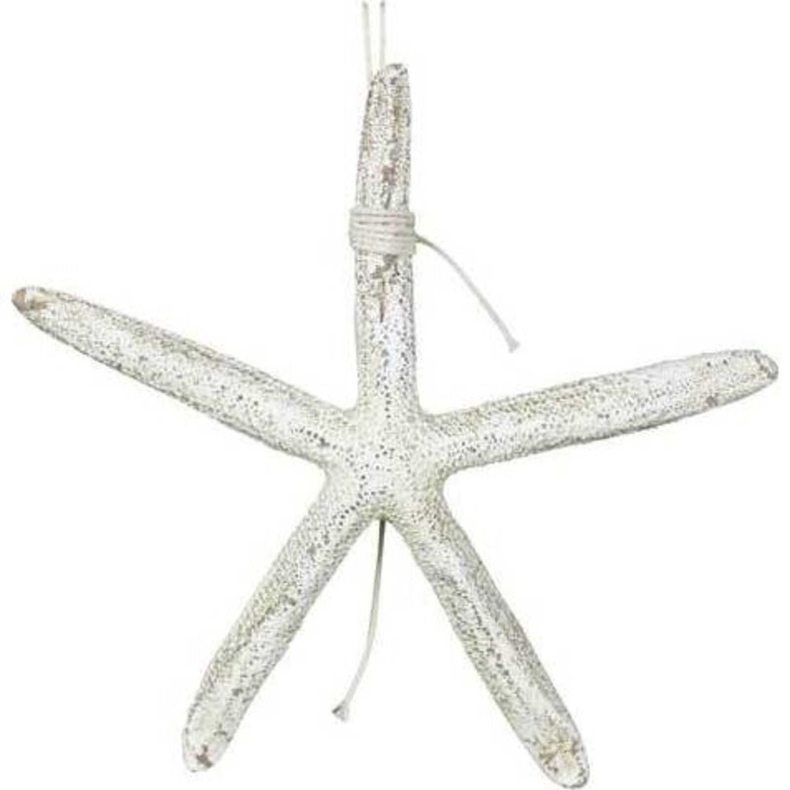 Hanging Starfish Small