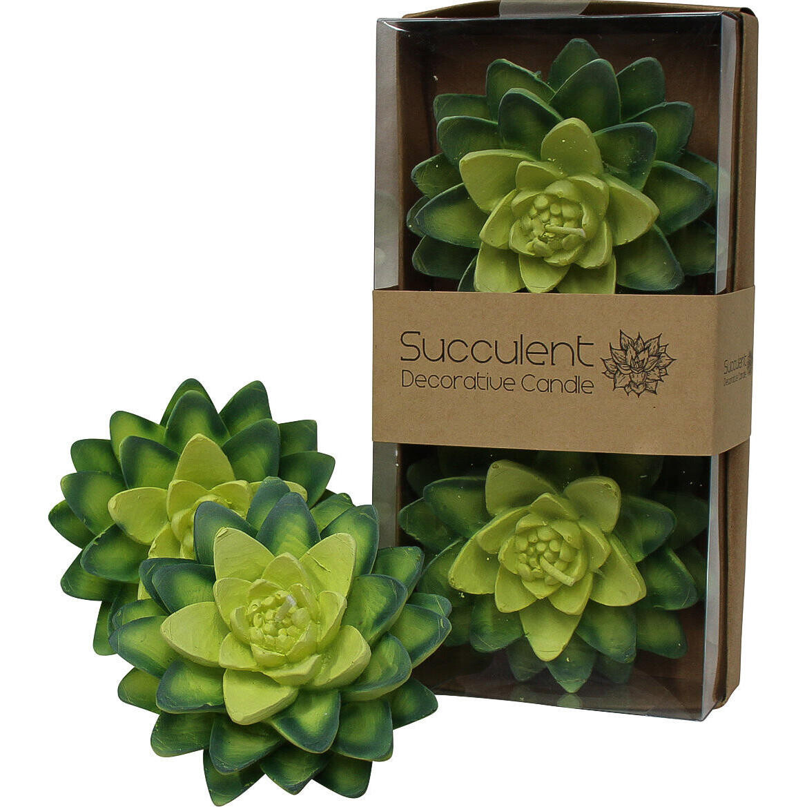 Candle Succulent-C S/2