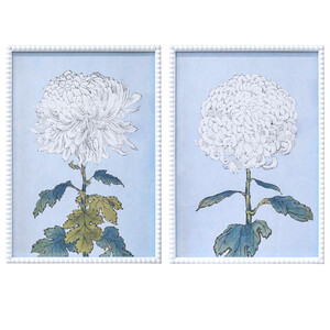 Code HM7215-2