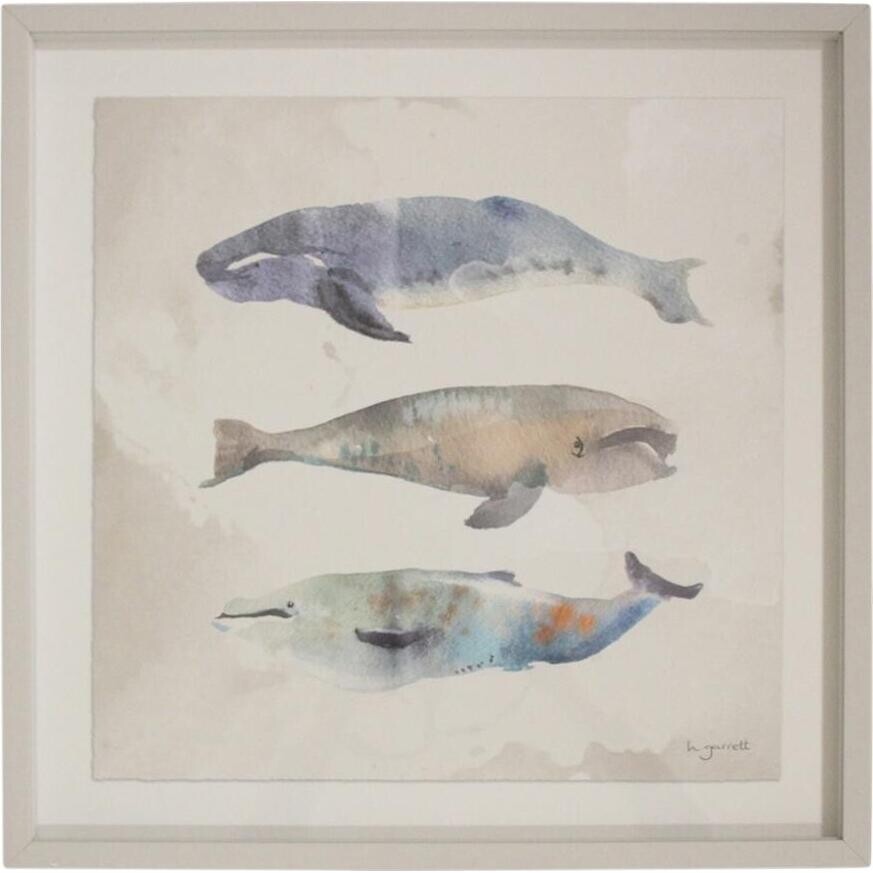 Framed Print Whales 1