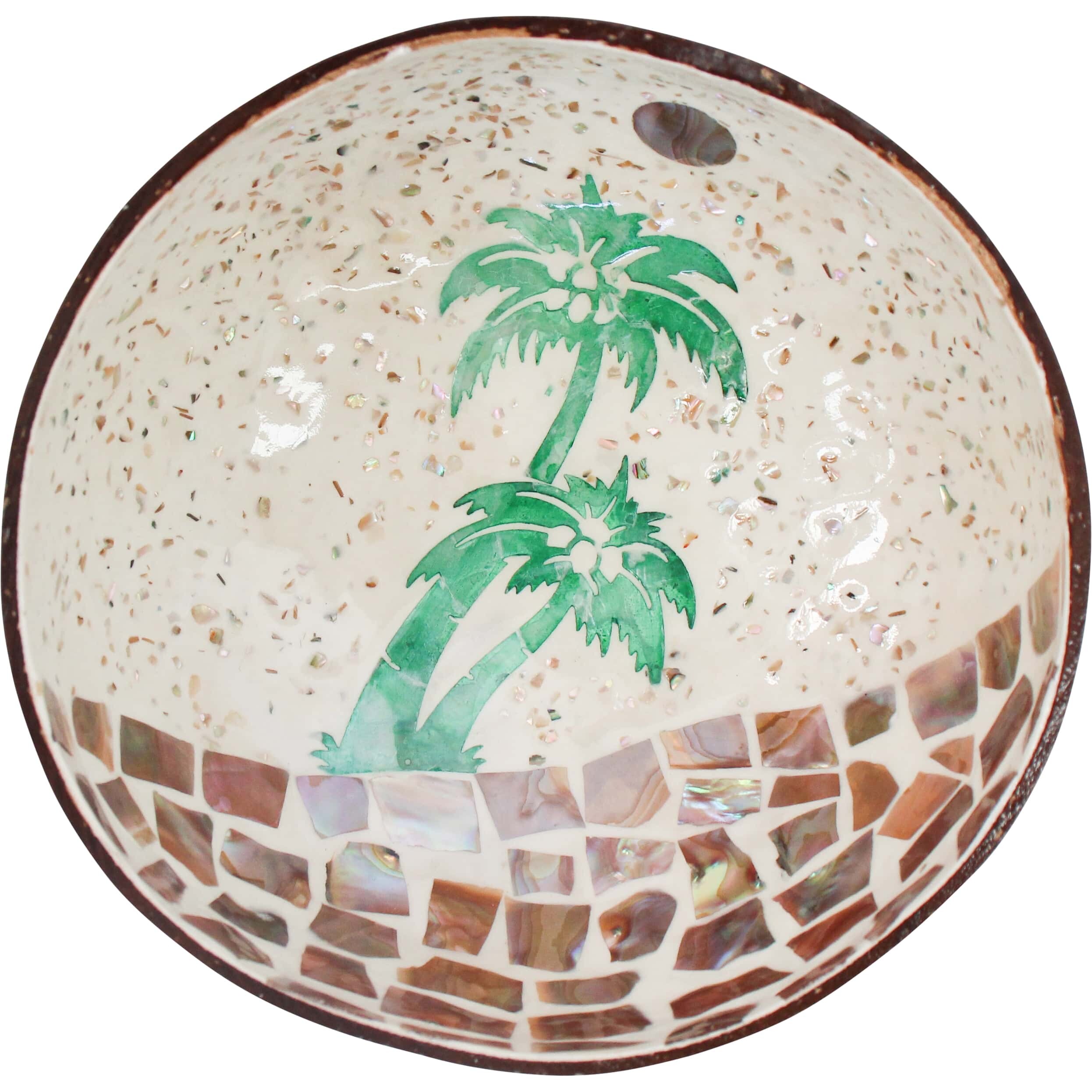 Coconut Bowl Palm