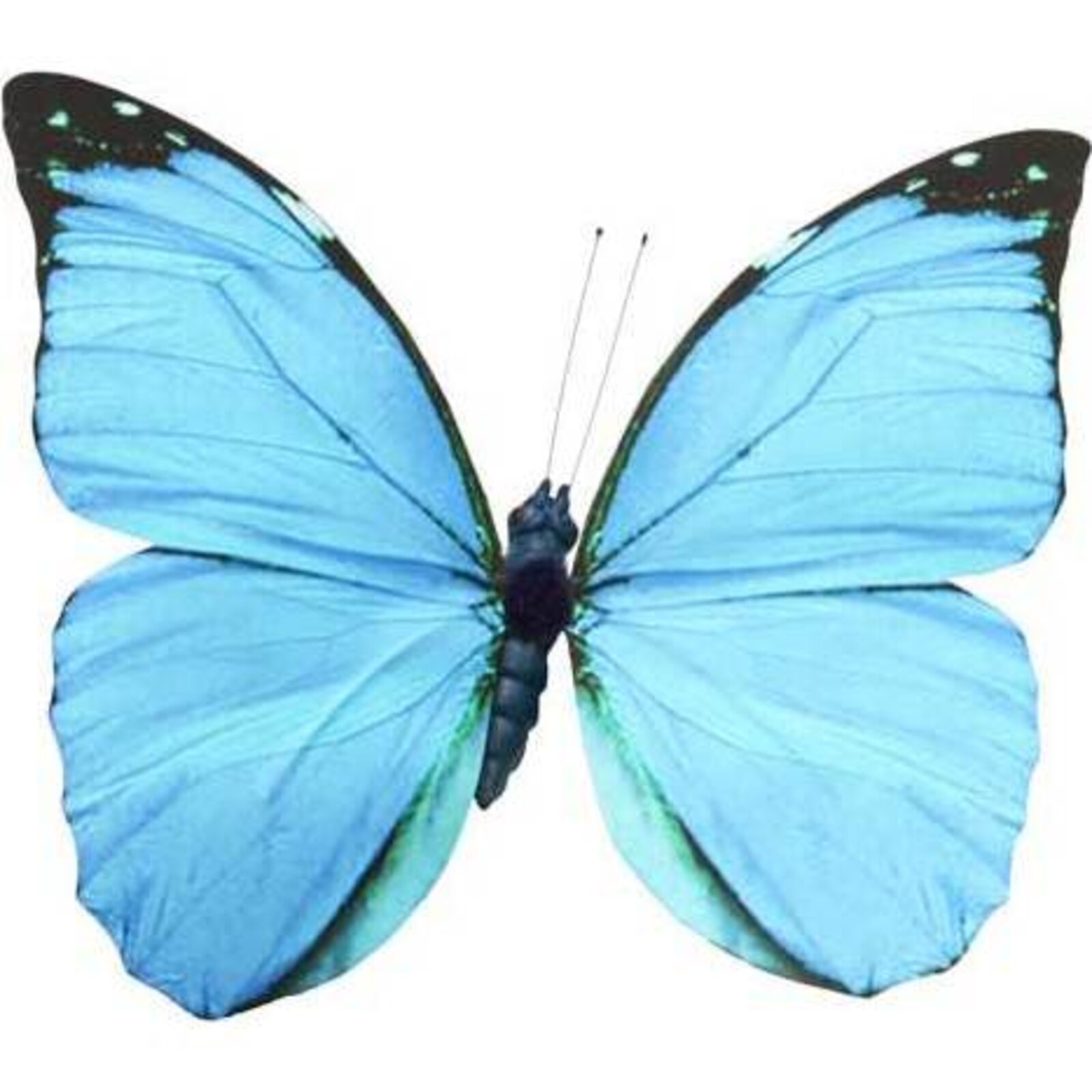  Butterfly Large - Bright Blue