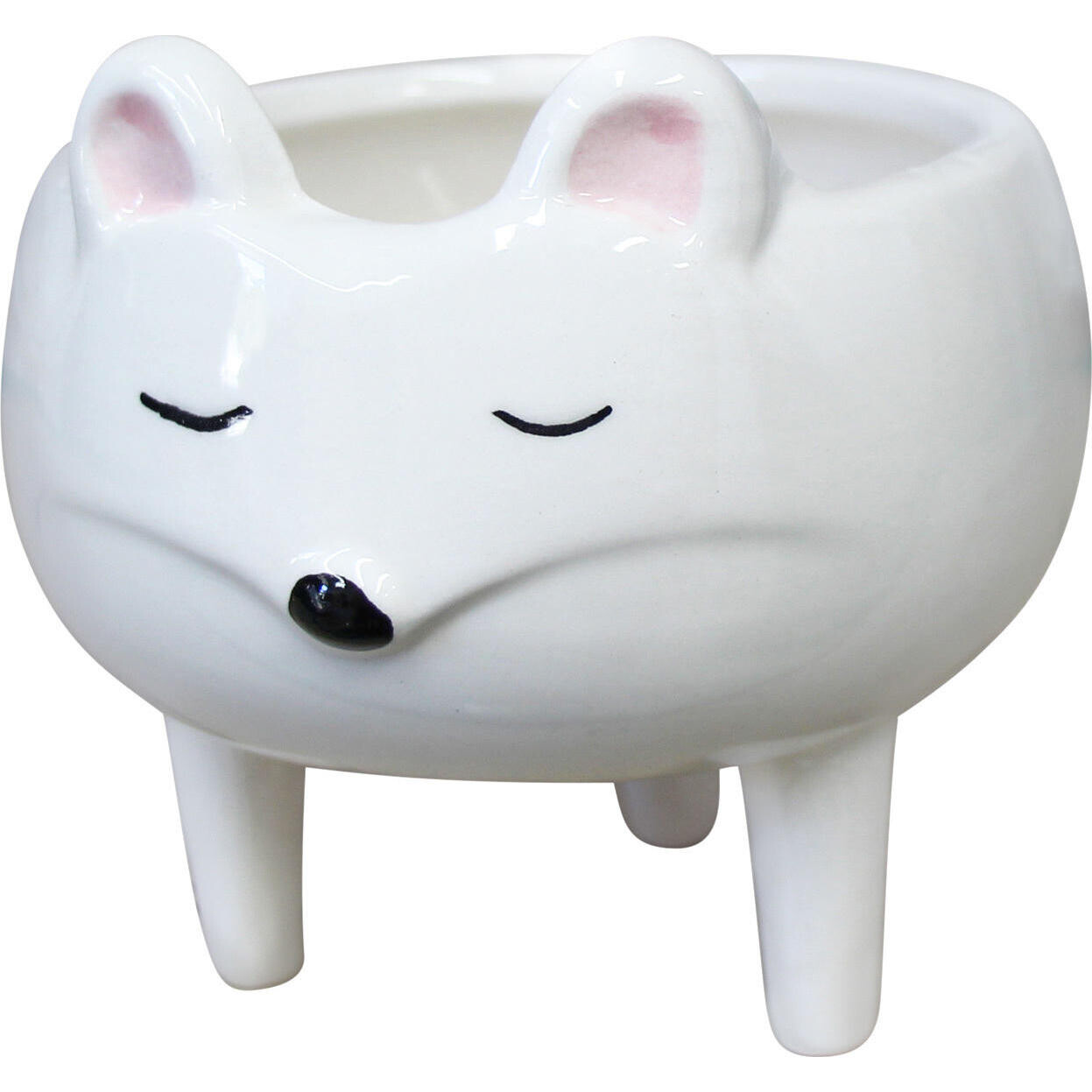 Planter Cute Mouse