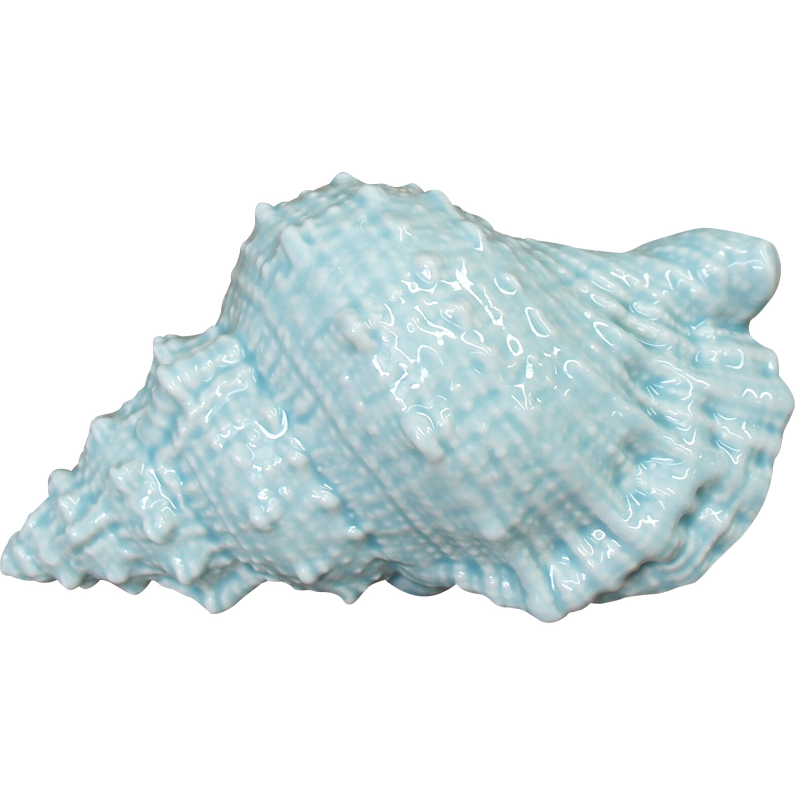 Shell Decor Whelk Seafoam