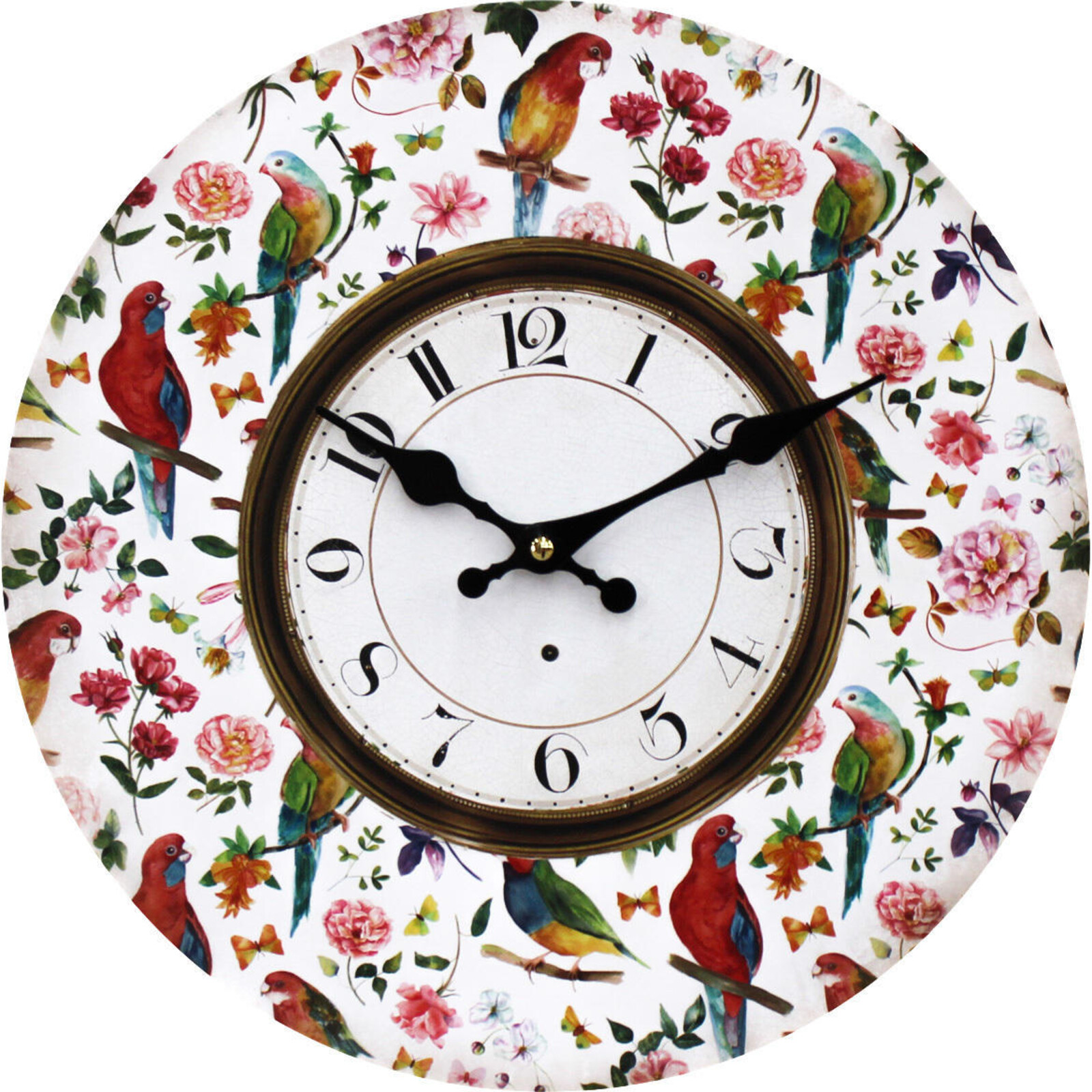 Clock Parrots 34cm