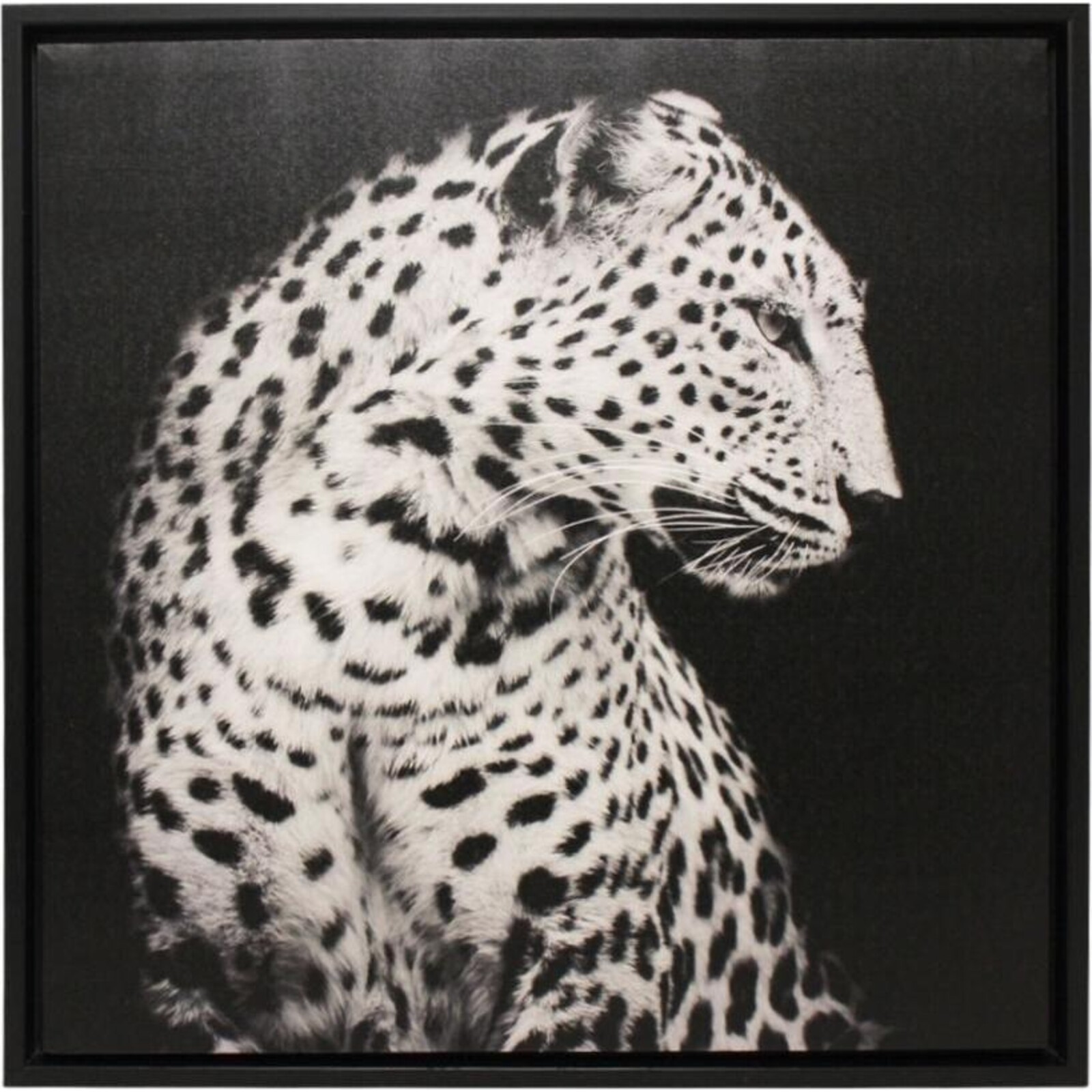 Framed Print Leopard B/W 
