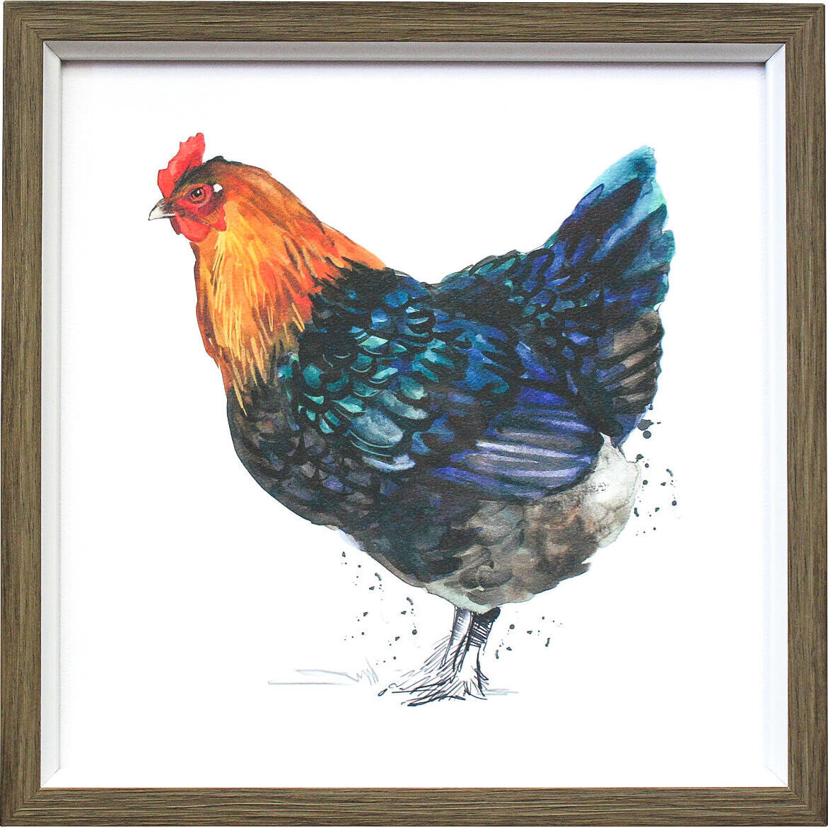 Framed Print Chicken Marans