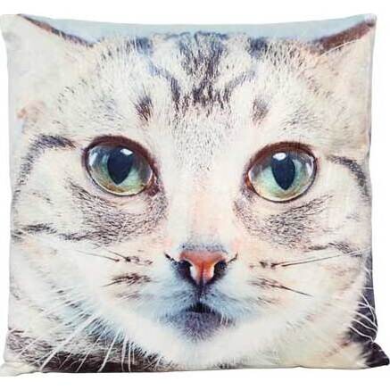 Cushion Curious Cat